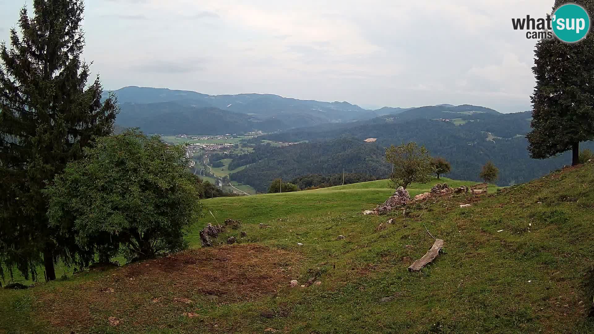 Slajka livecam | Gorenja Vas | Slovénie