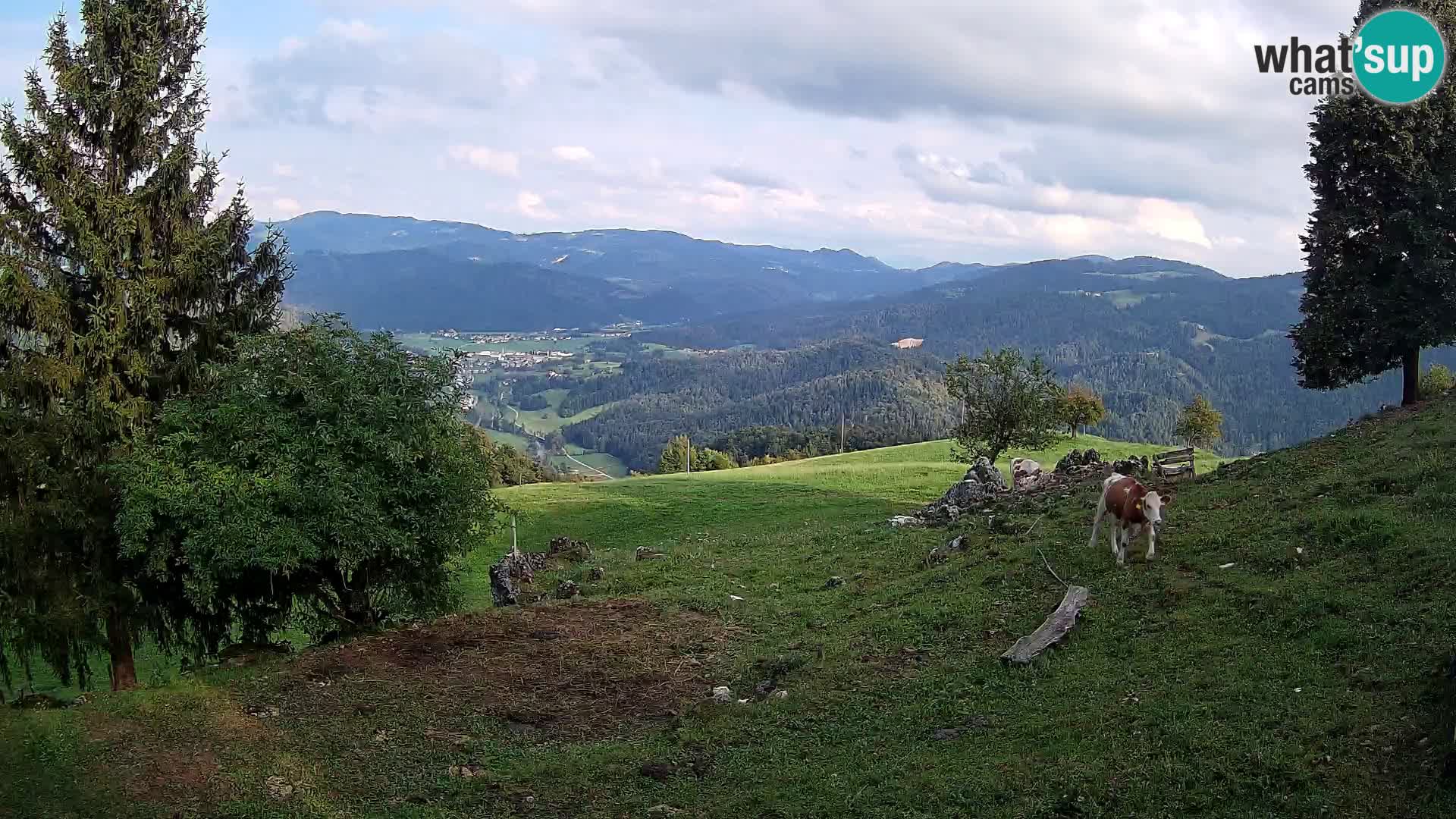 Slajka webcam | Gorenja Vas | Slowenien