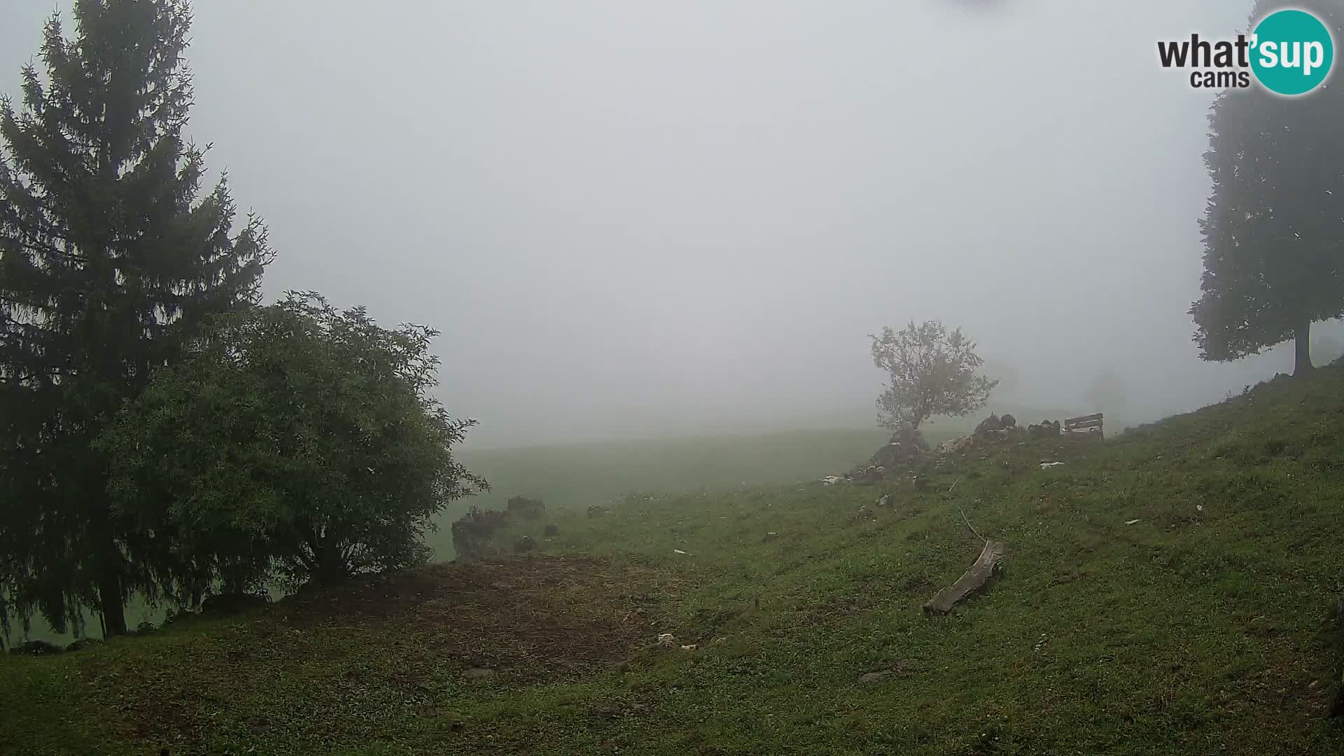 Slajka livecam | Gorenja Vas | Slovénie