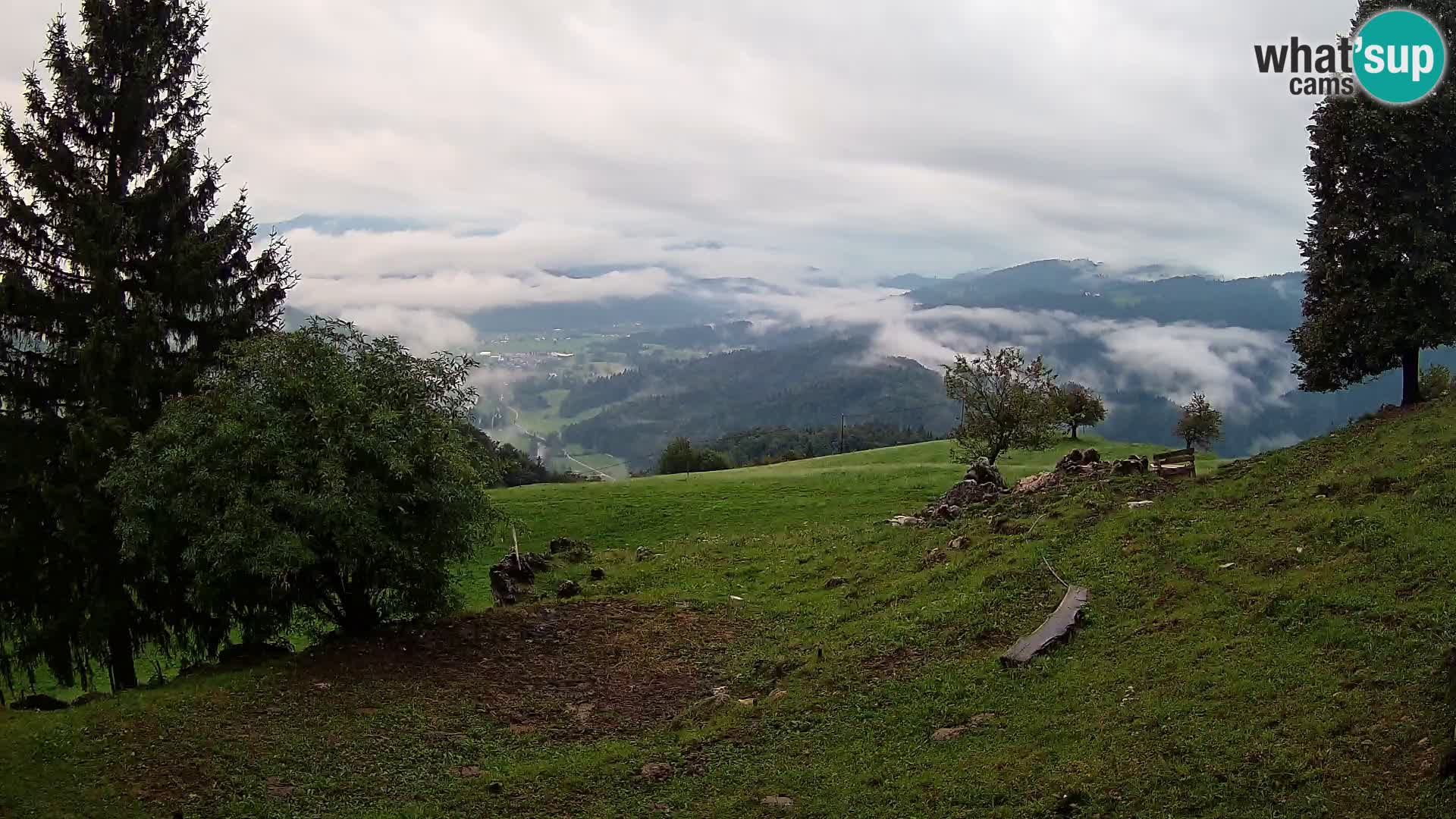 Slajka livecam | Gorenja Vas | Slovénie