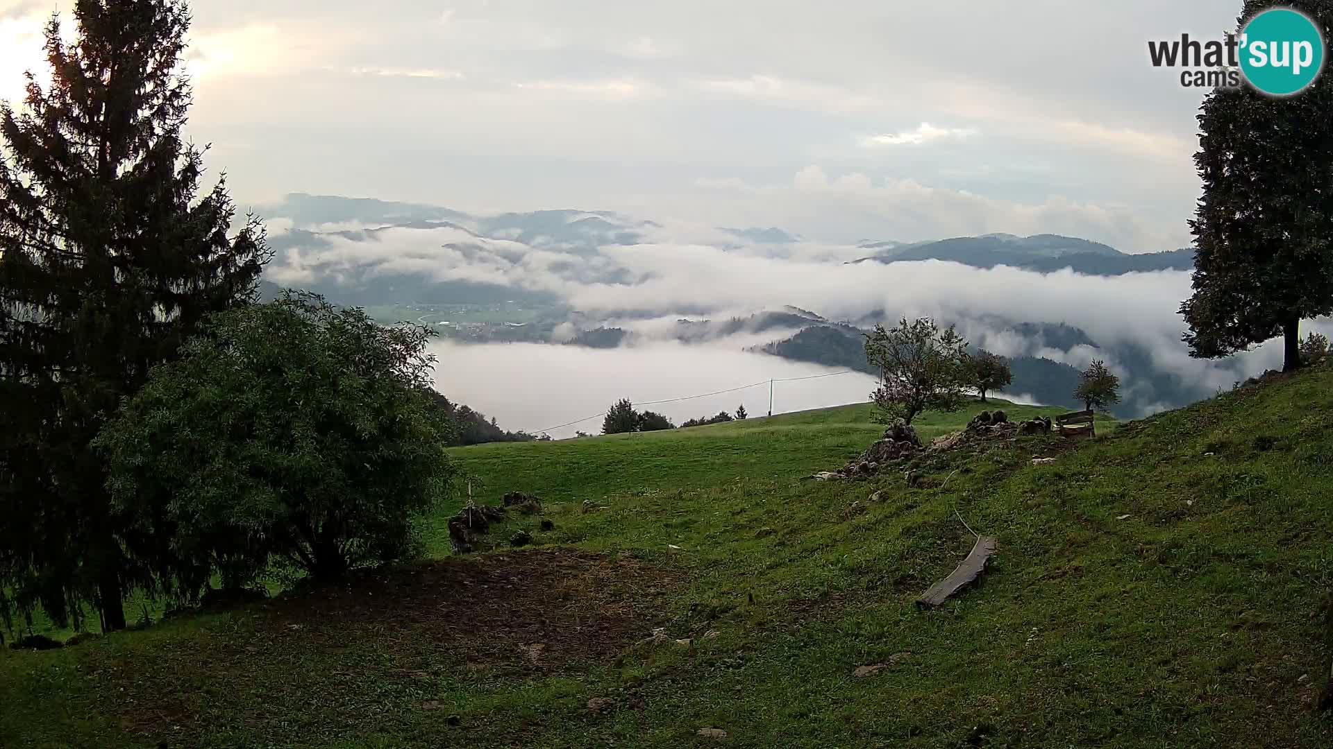 Slajka camera en vivo | Gorenja Vas | Eslovenia