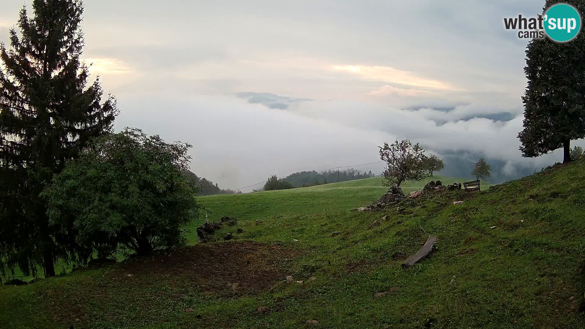 Slajka livecam | Gorenja Vas | Slovénie