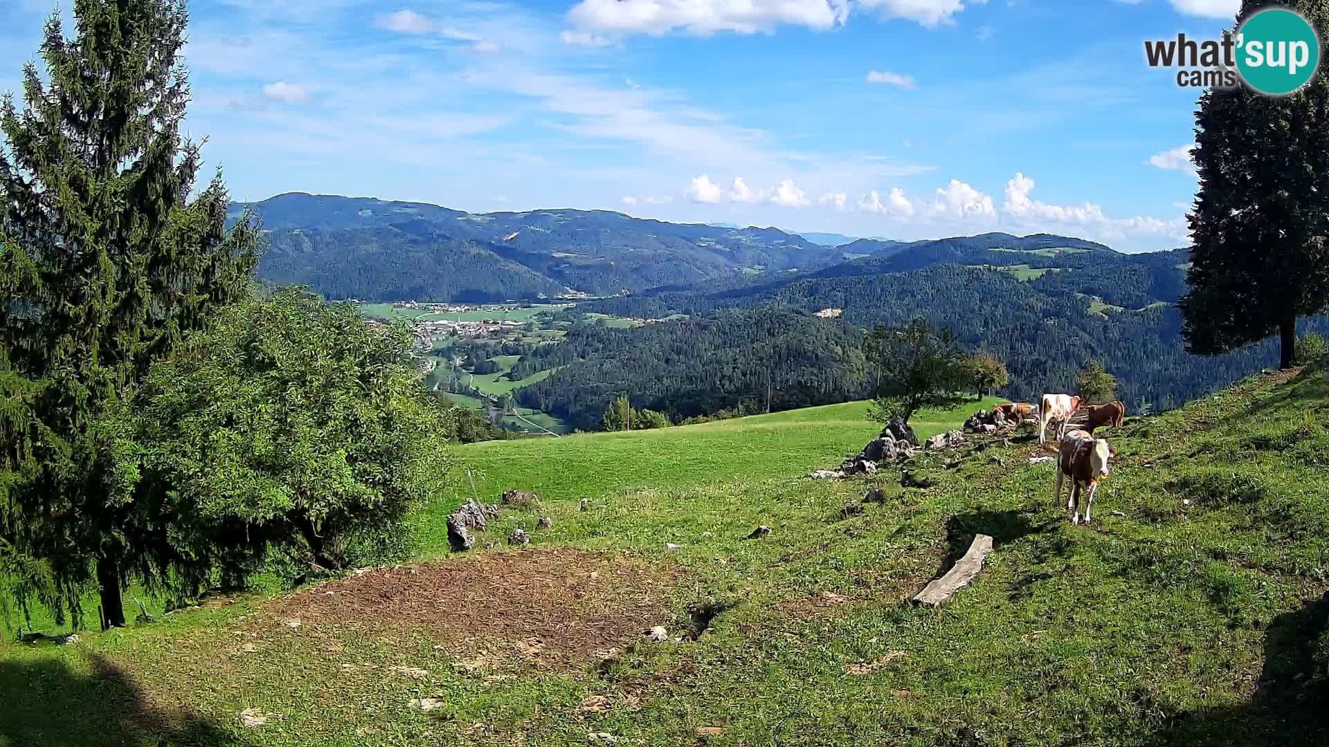 Webcam Slajka | Gorenja vas | Slovenia