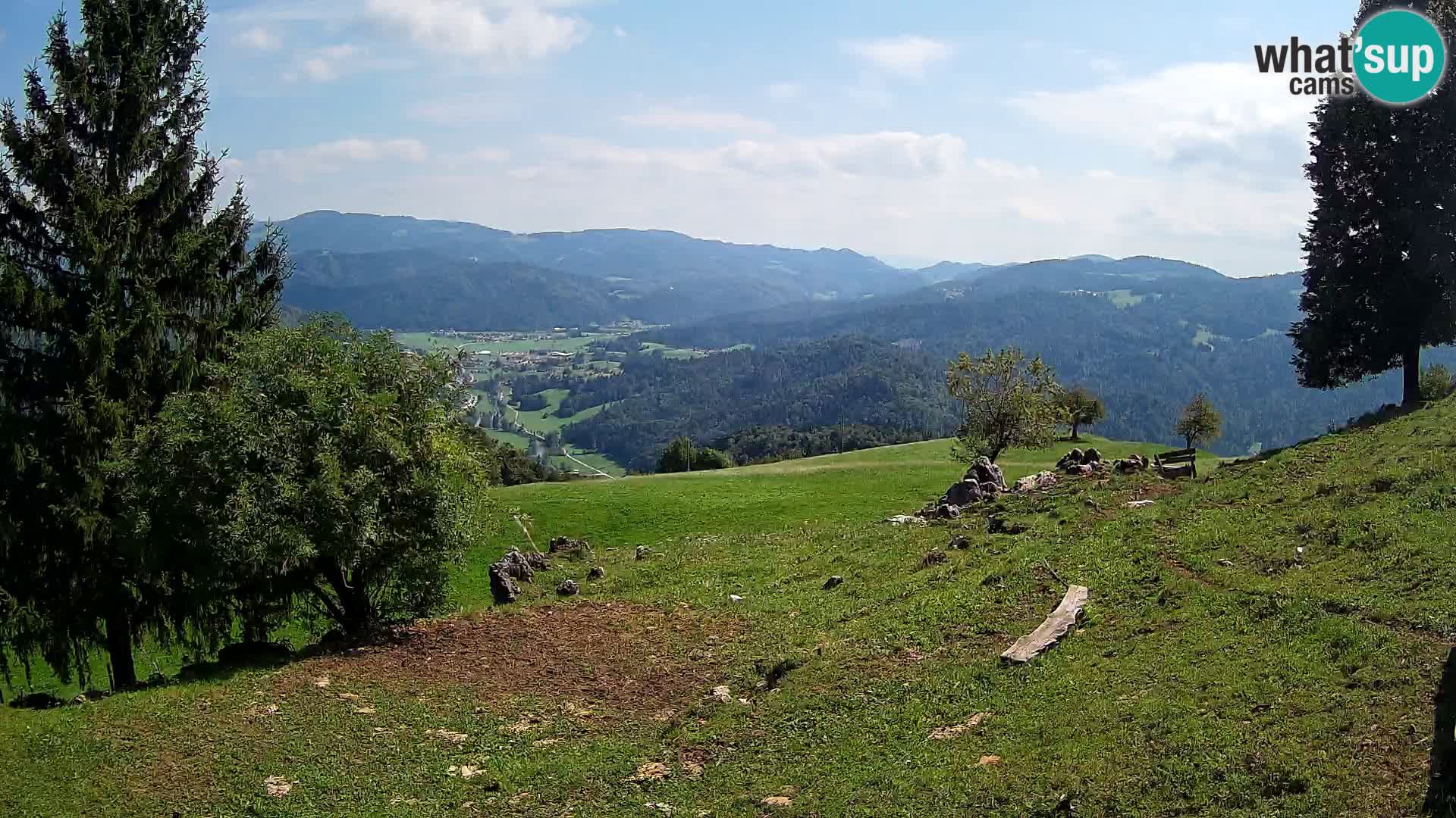 Slajka camera en vivo | Gorenja Vas | Eslovenia