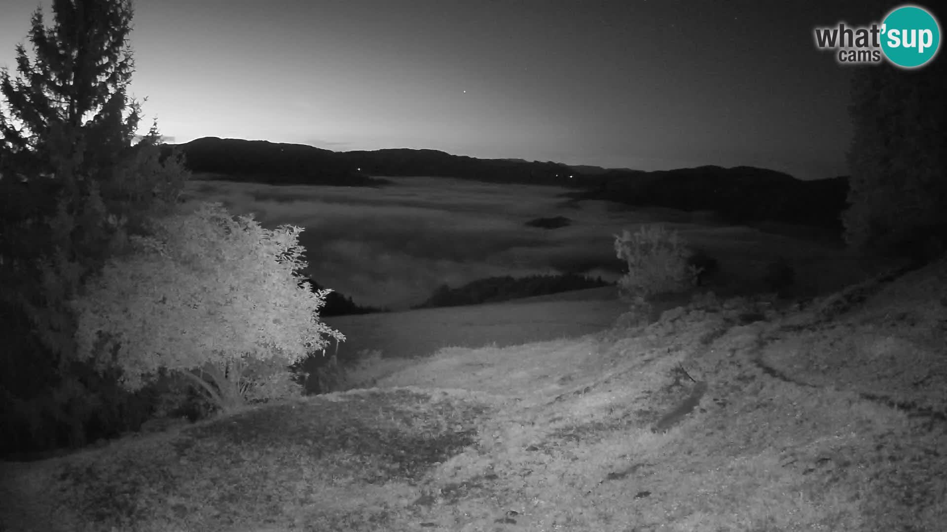 Slajka camera en vivo | Gorenja Vas | Eslovenia