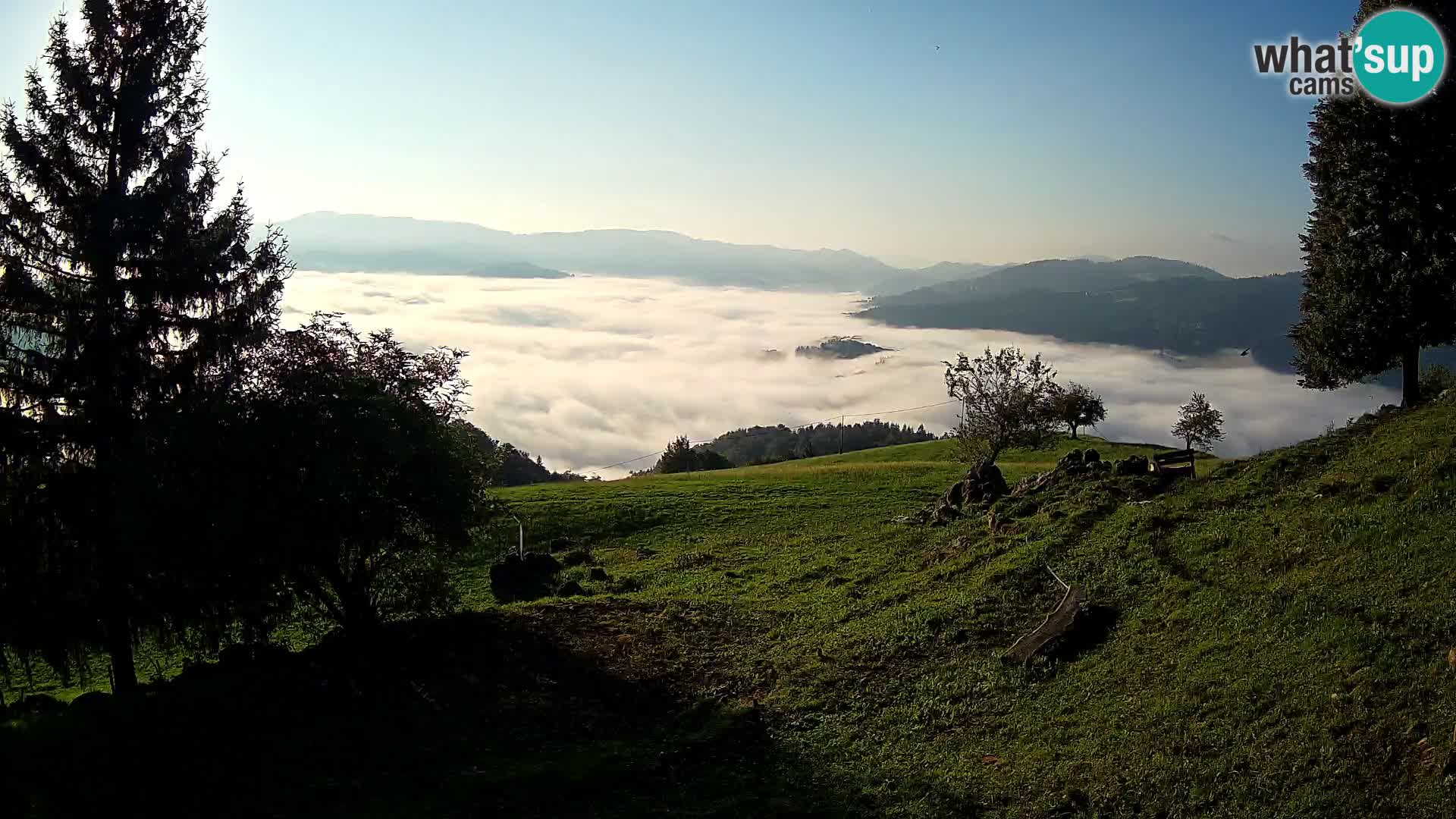 Slajka webam | Gorenja vas | Slovenia