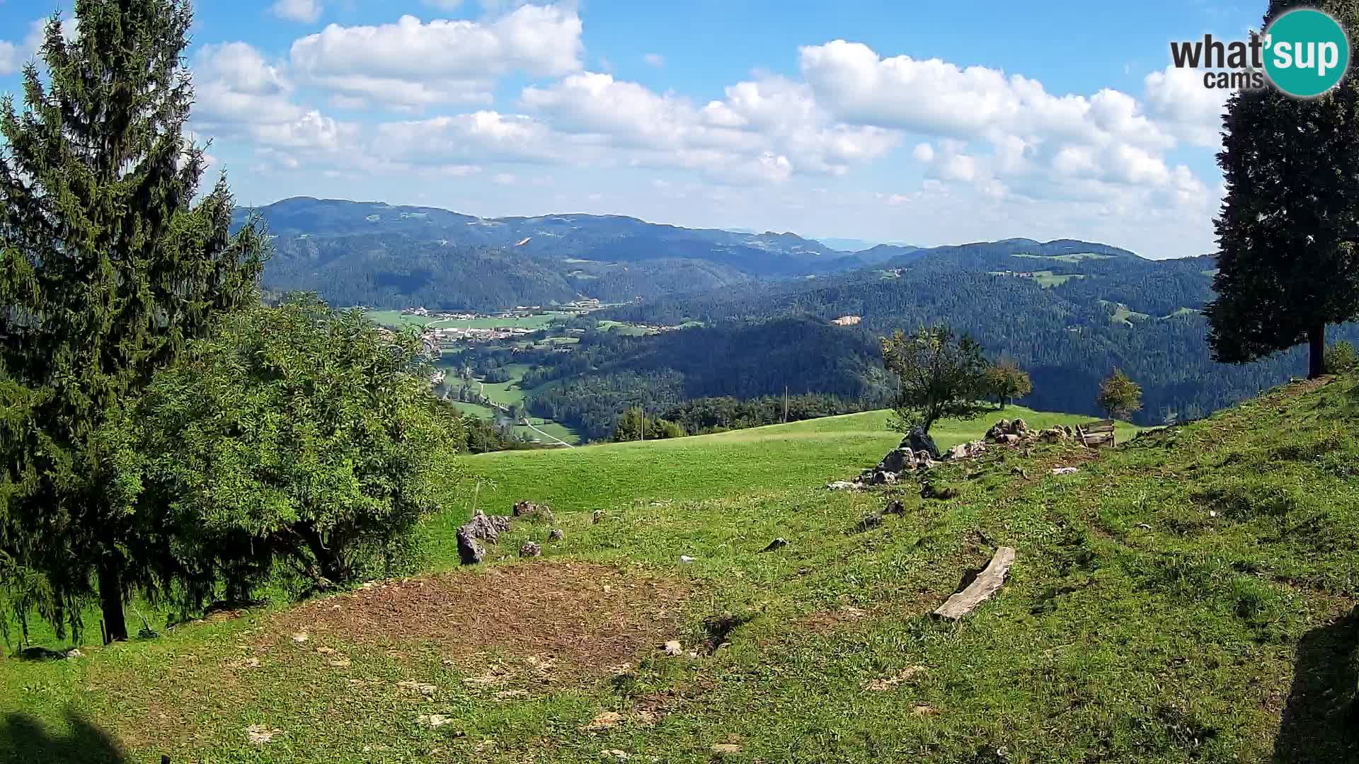 Slajka livecam | Gorenja Vas | Slovénie