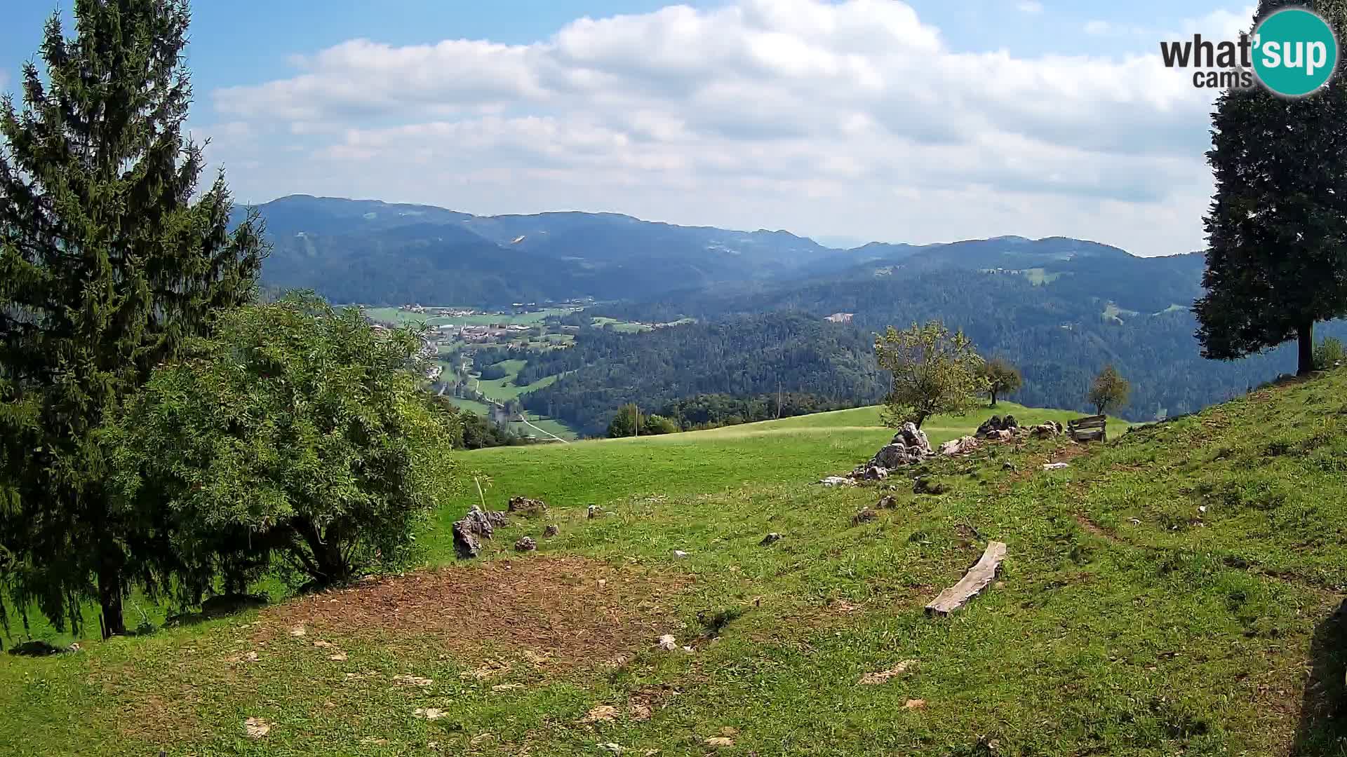 Slajka camera en vivo | Gorenja Vas | Eslovenia