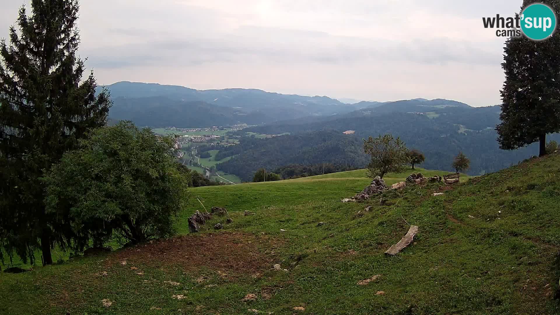 Slajka camera en vivo | Gorenja Vas | Eslovenia
