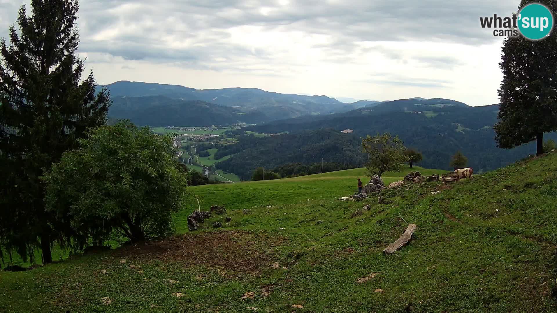 Slajka webam | Gorenja vas | Slovenia