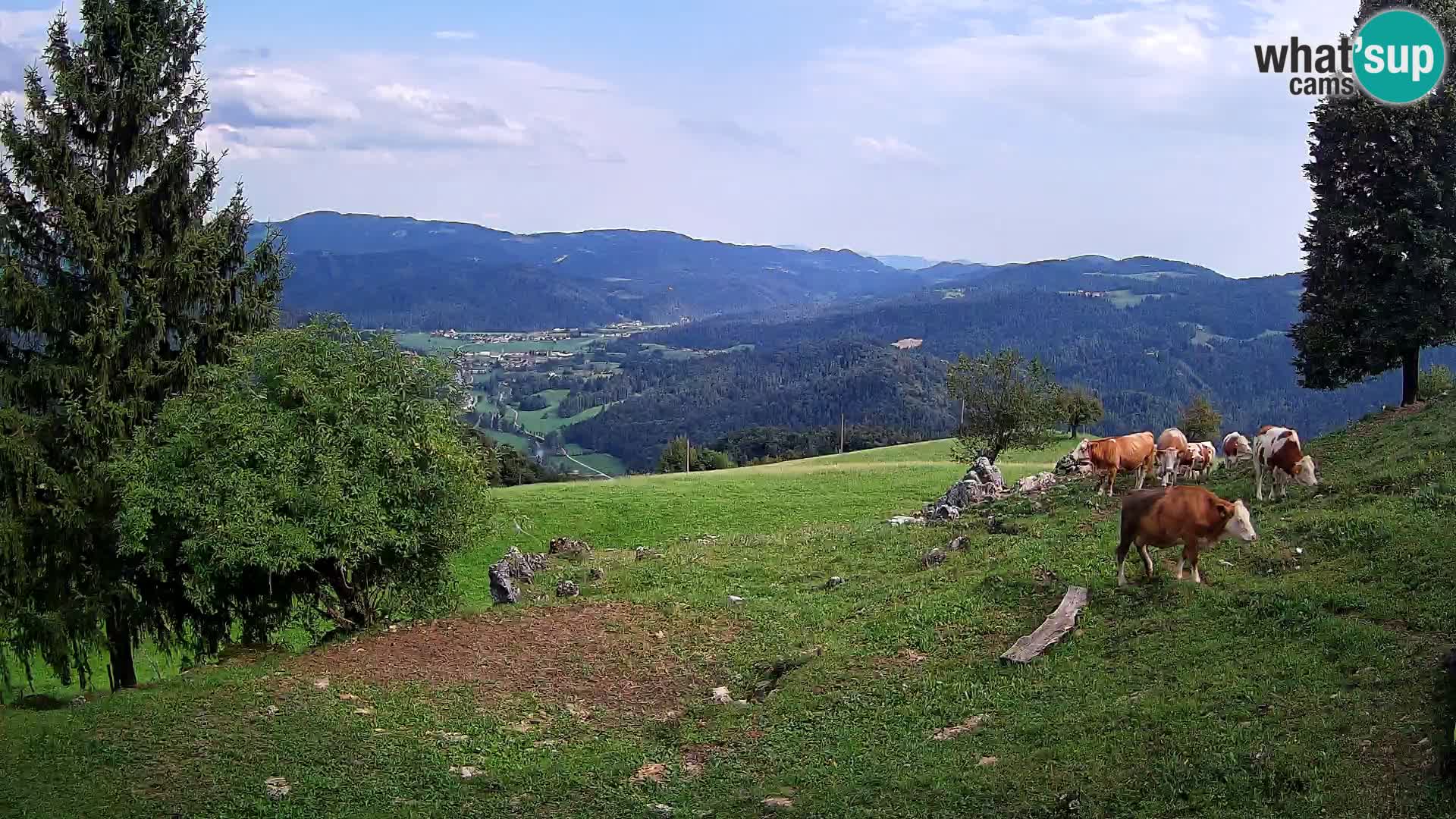 Slajka webcam | Gorenja Vas | Slowenien