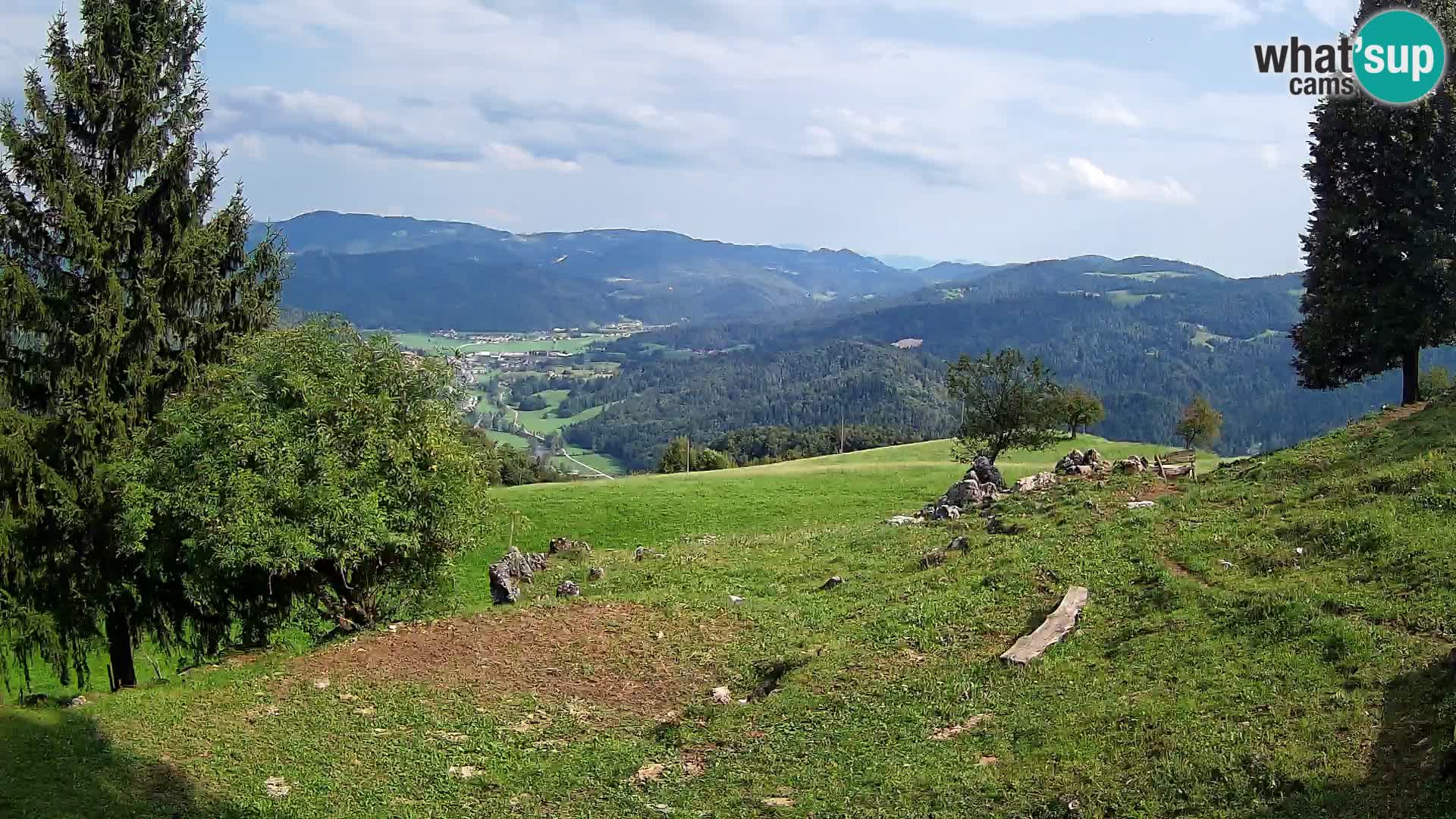 Slajka camera en vivo | Gorenja Vas | Eslovenia