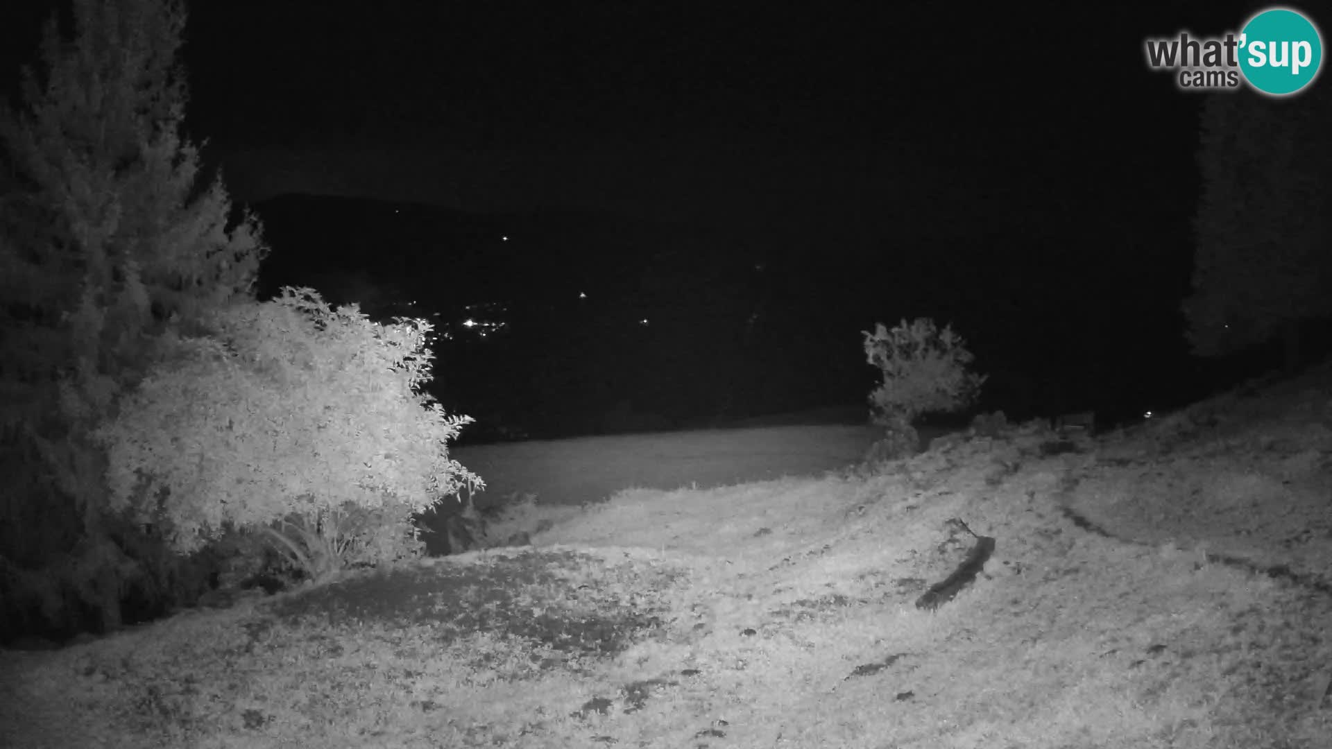 Slajka camera en vivo | Gorenja Vas | Eslovenia