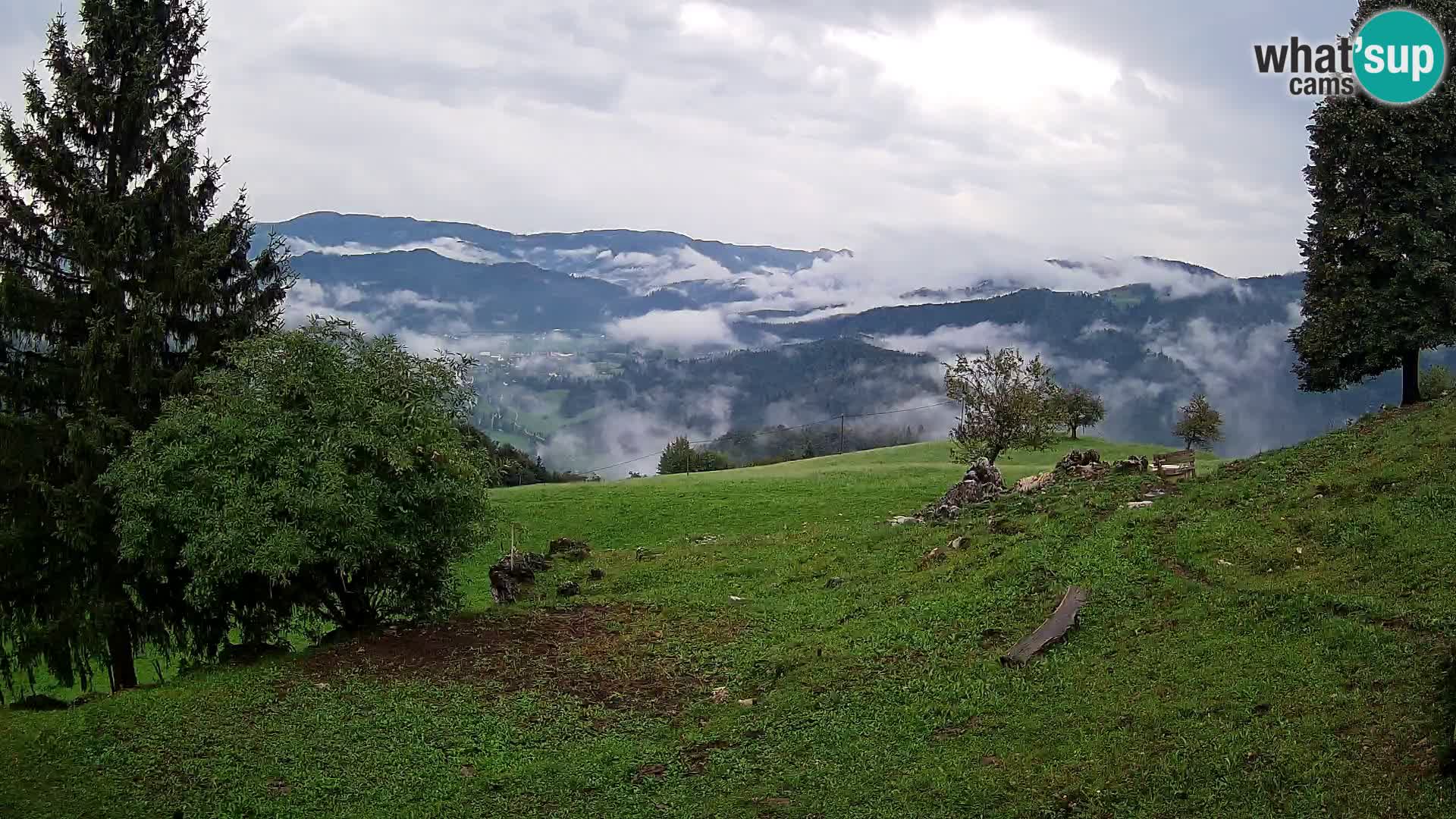 Slajka webam | Gorenja vas | Slovenia