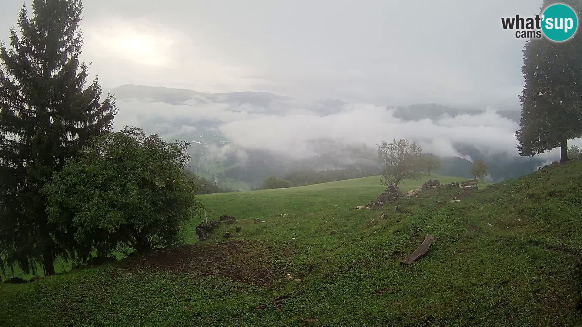 Slajka camera en vivo | Gorenja Vas | Eslovenia