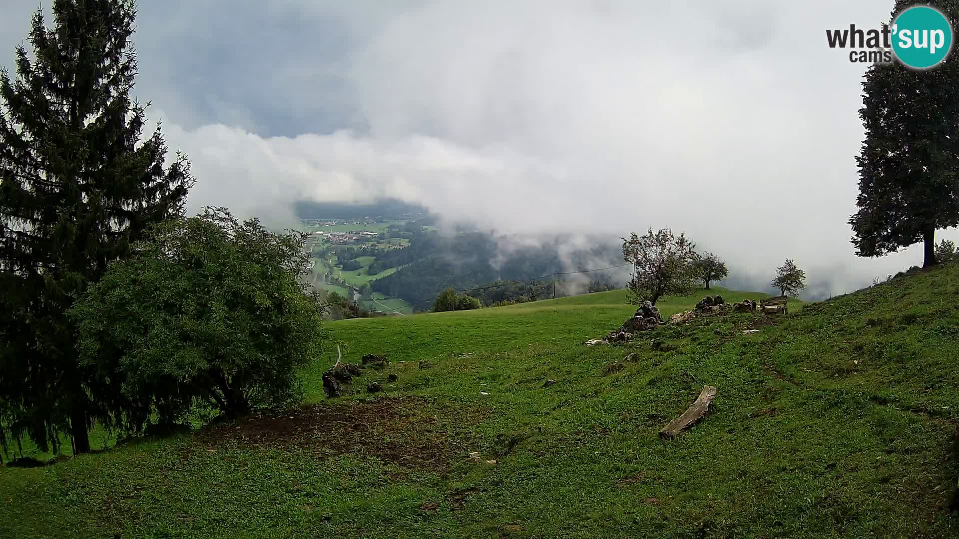 Slajka camera en vivo | Gorenja Vas | Eslovenia