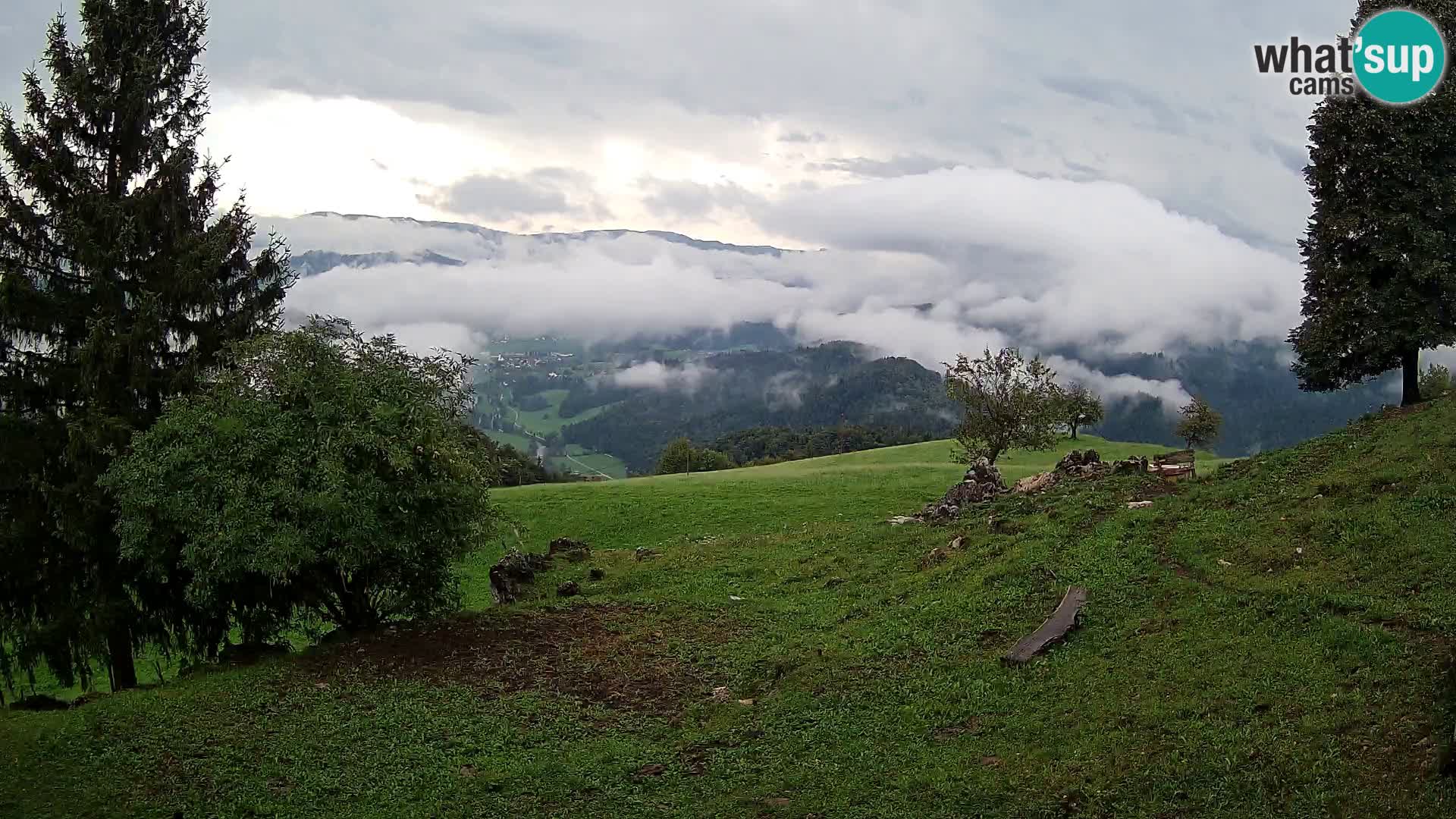 Slajka camera en vivo | Gorenja Vas | Eslovenia