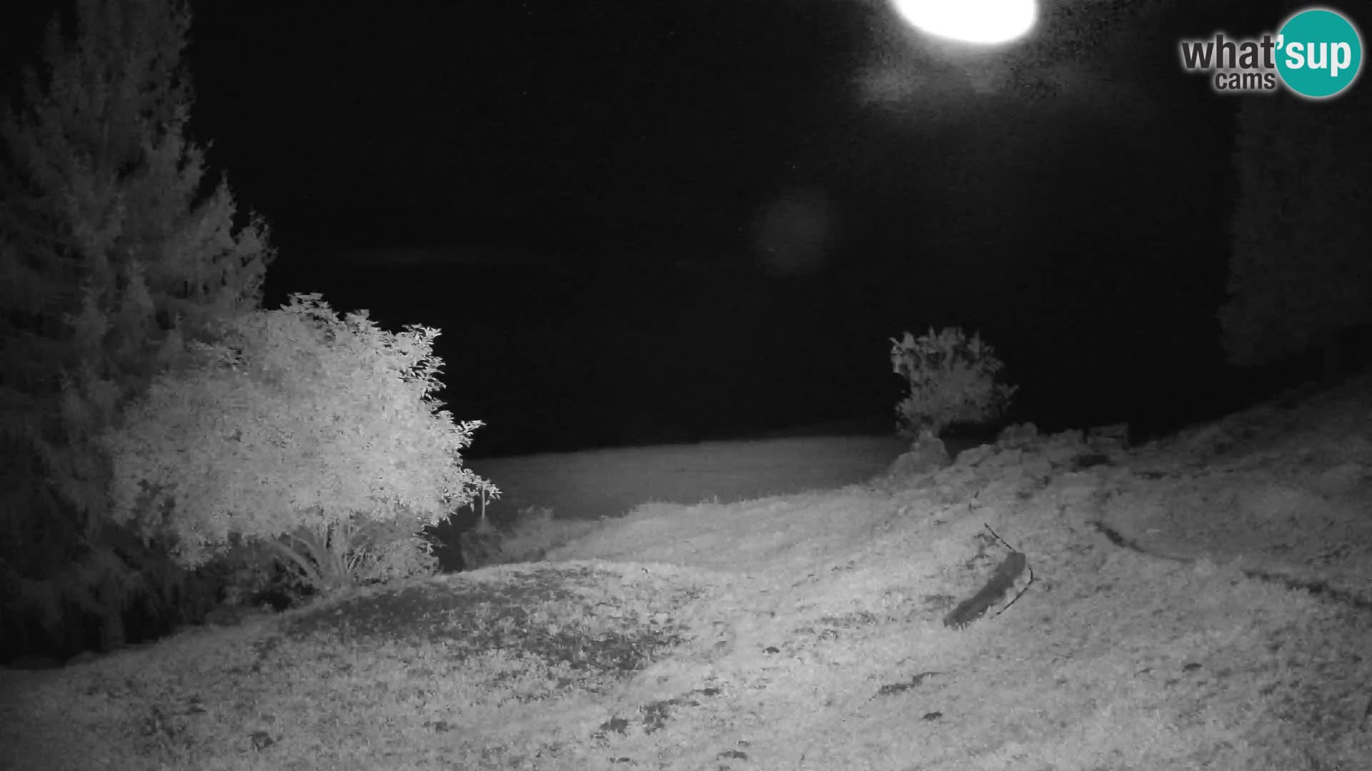 Slajka camera en vivo | Gorenja Vas | Eslovenia