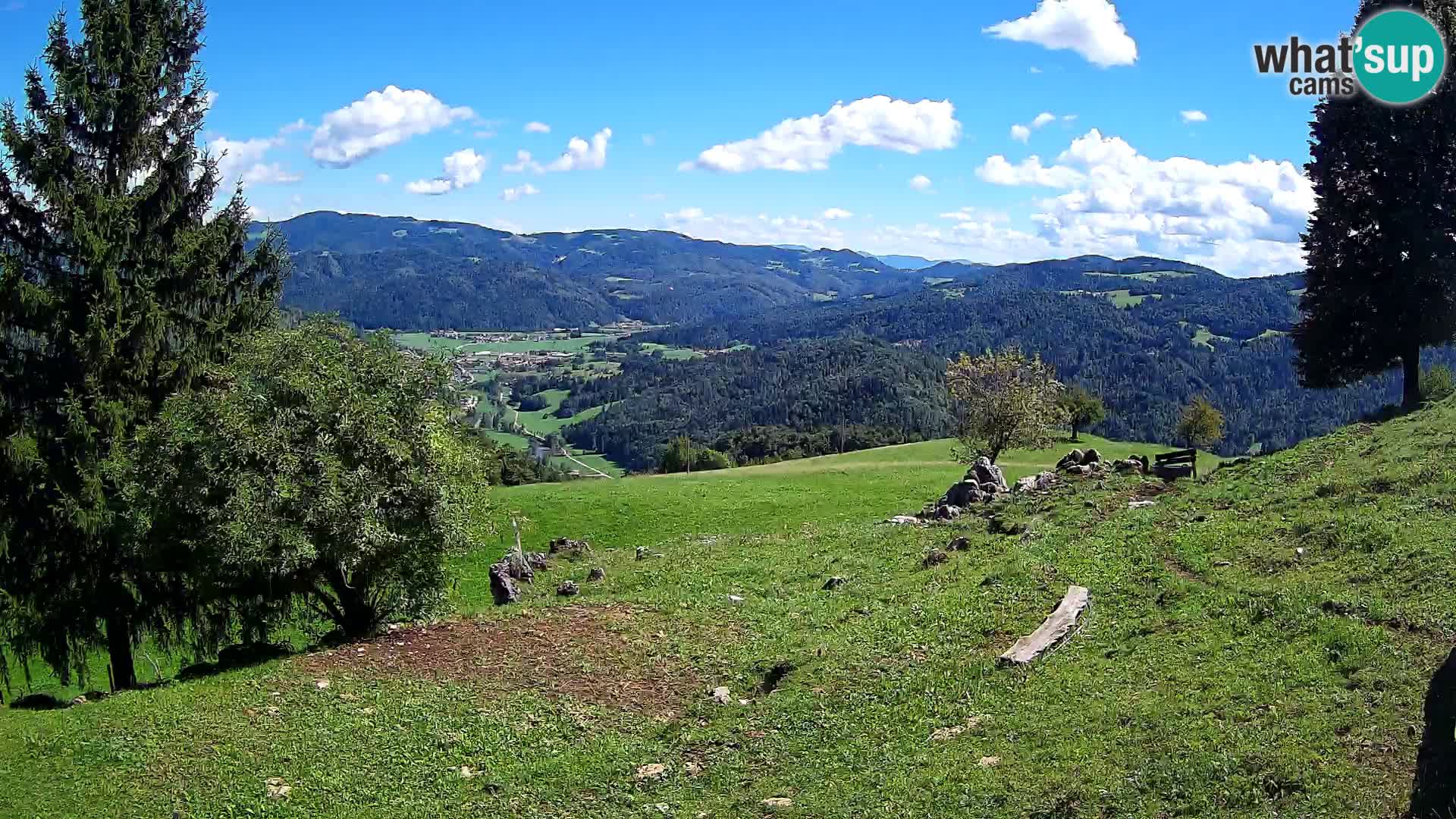 Slajka camera en vivo | Gorenja Vas | Eslovenia