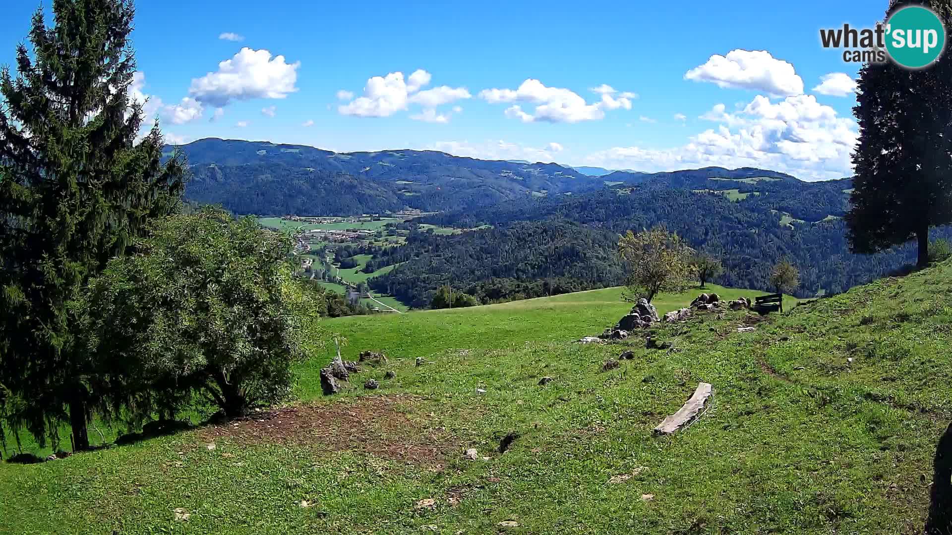 Slajka camera en vivo | Gorenja Vas | Eslovenia