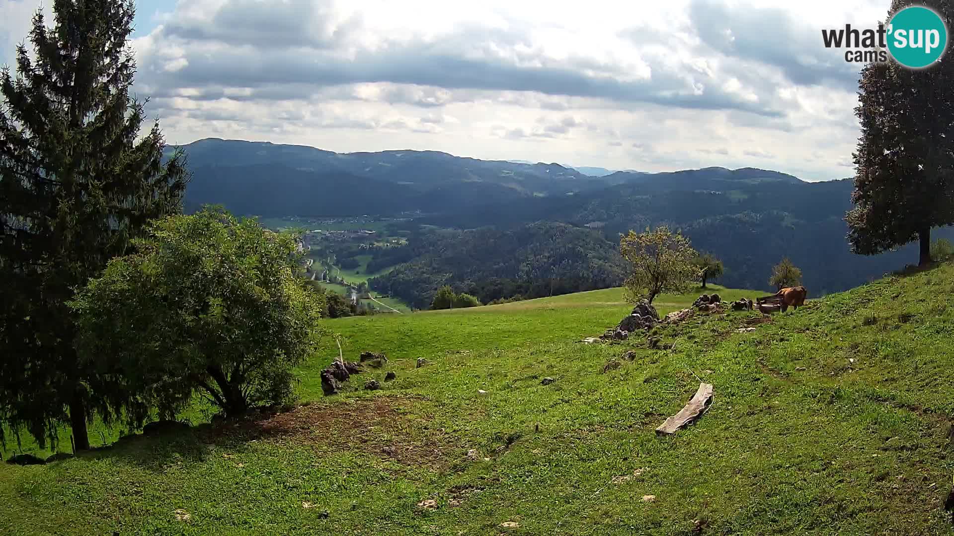 Slajka webam | Gorenja vas | Slovenia