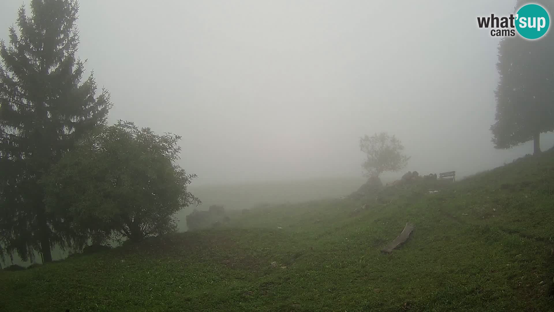 Slajka camera en vivo | Gorenja Vas | Eslovenia