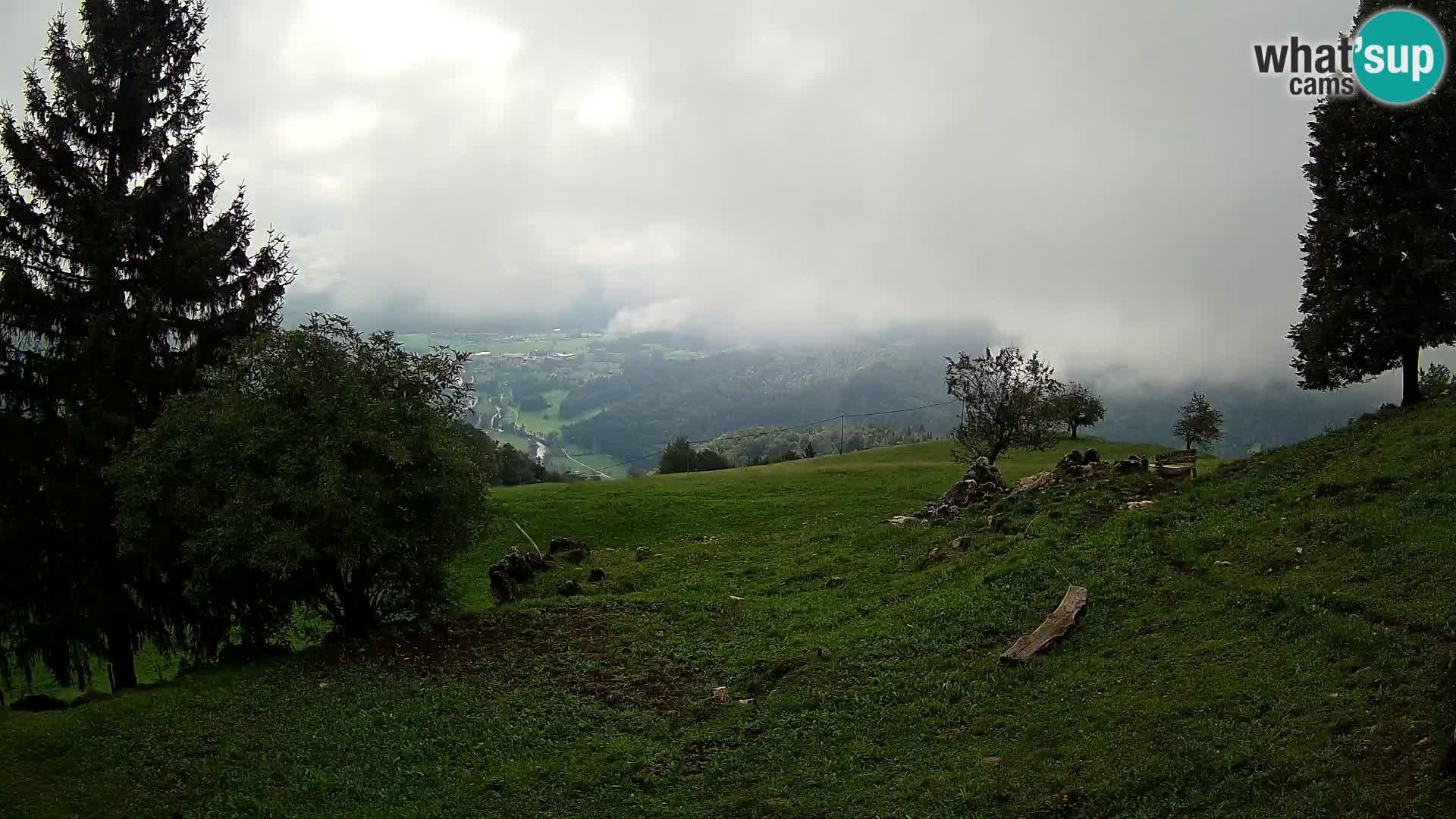 Slajka camera en vivo | Gorenja Vas | Eslovenia