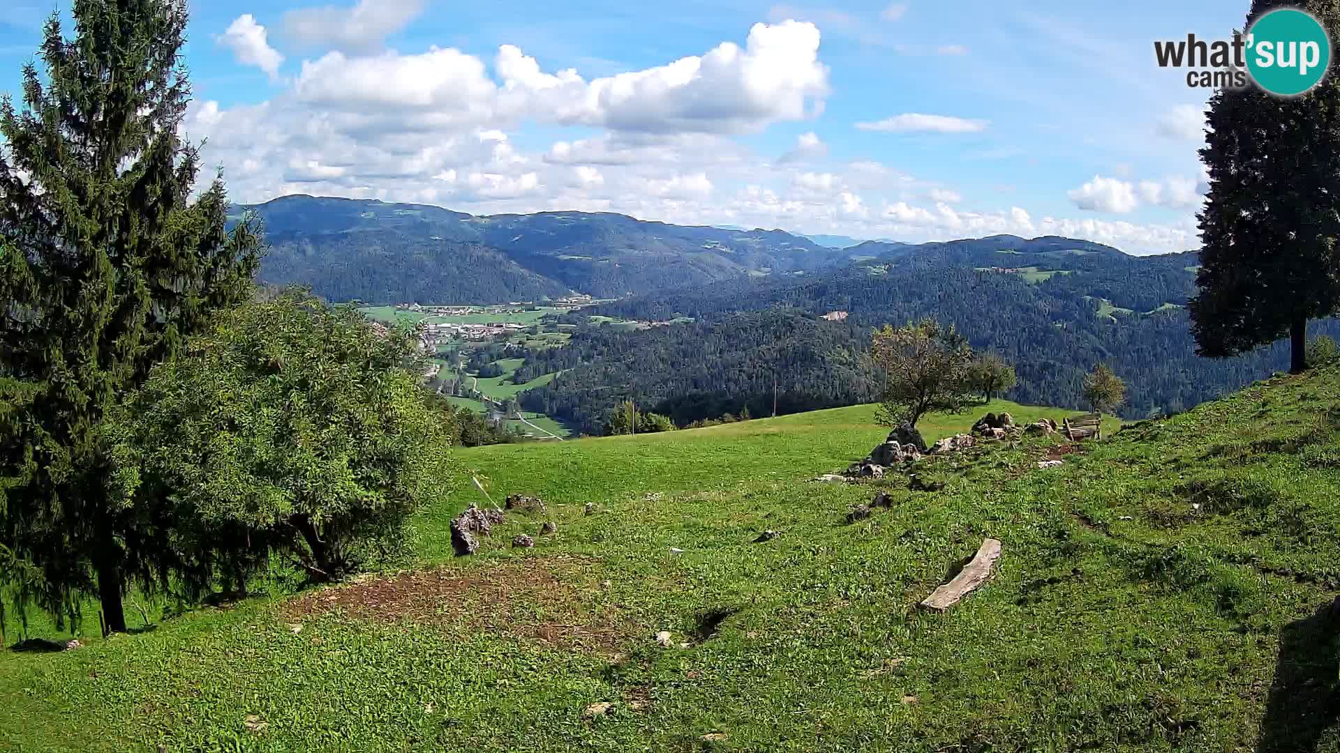 Slajka webam | Gorenja vas | Slovenia