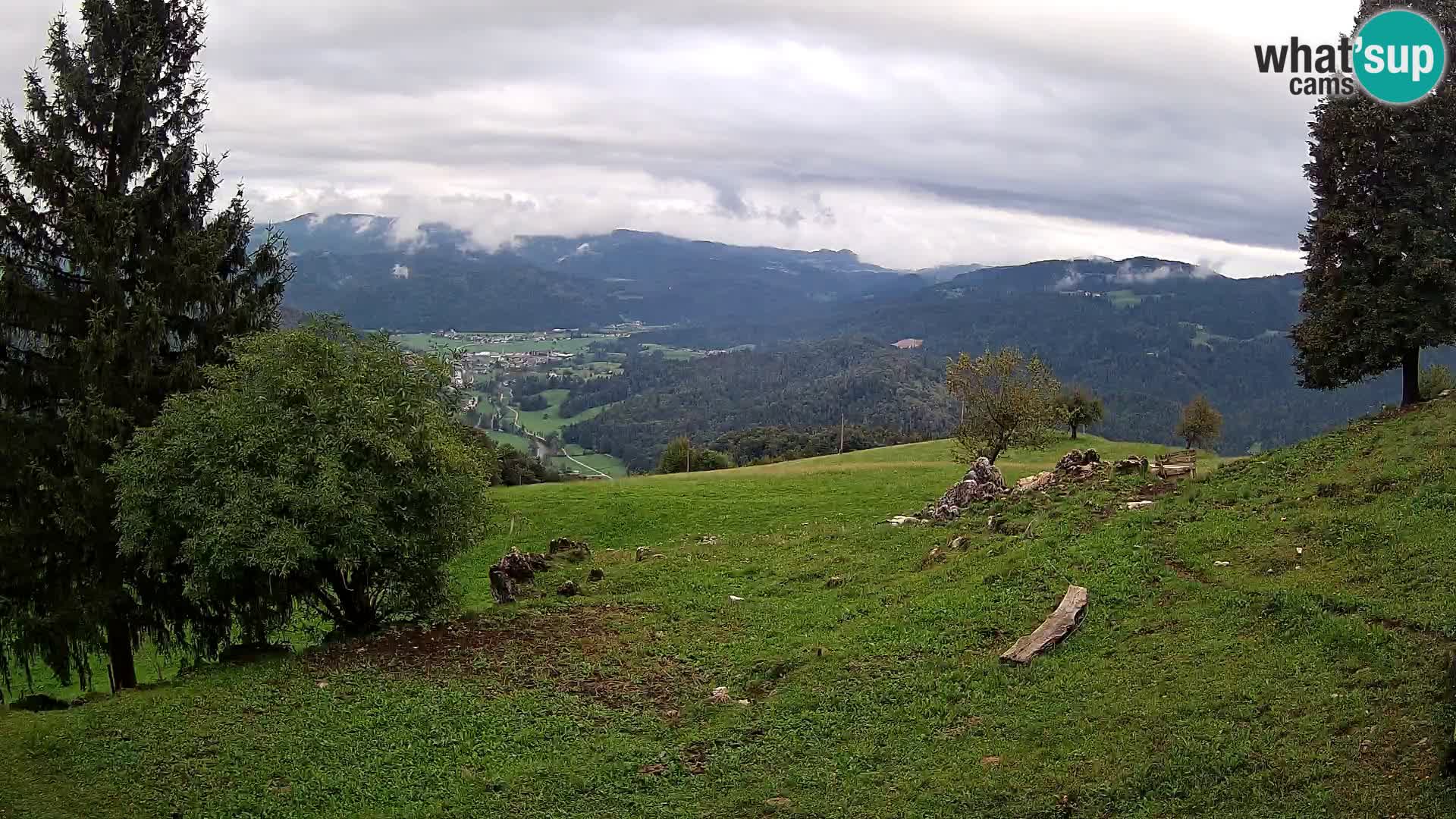 Slajka livecam | Gorenja Vas | Slovénie