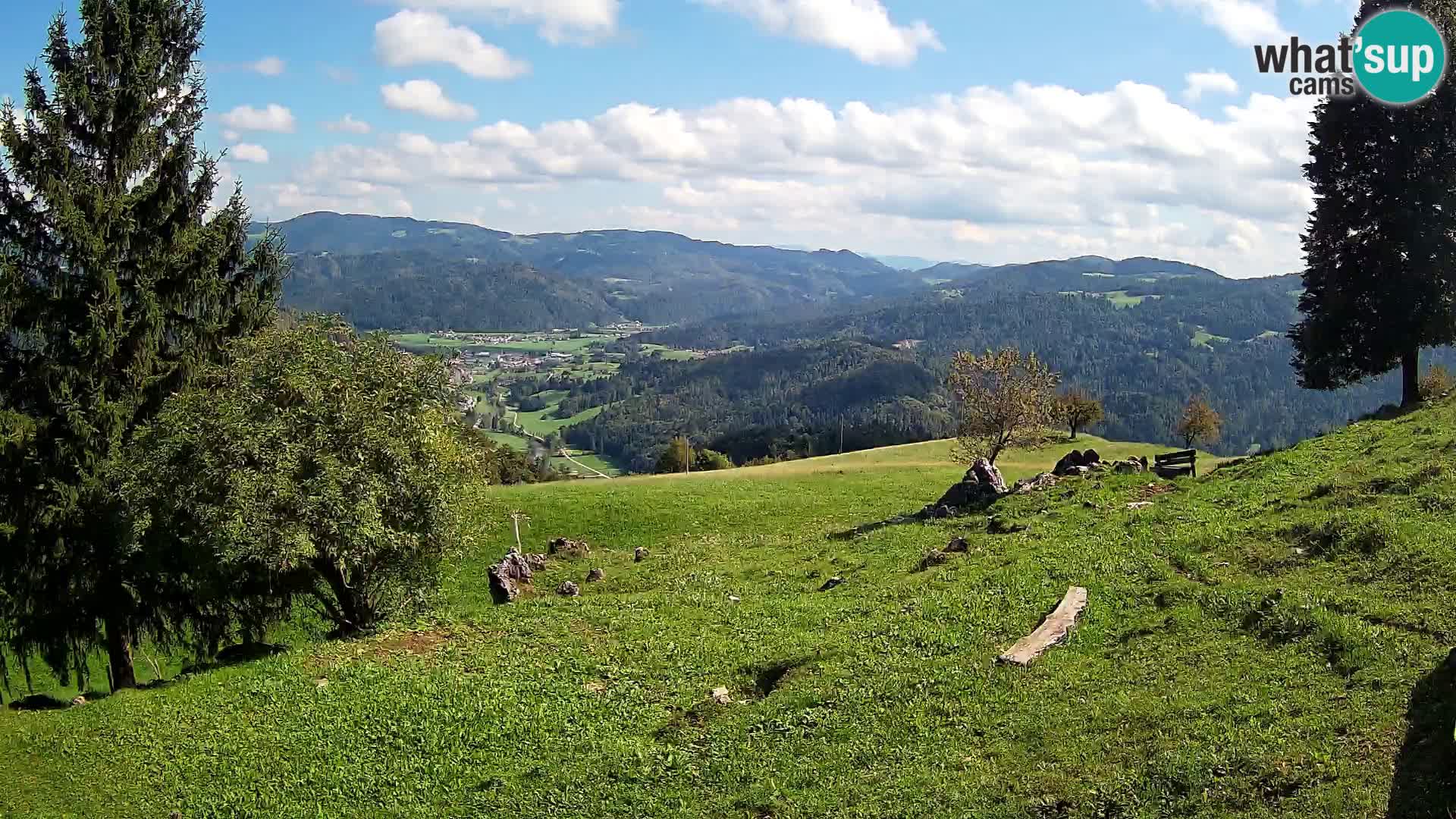 Slajka webam | Gorenja vas | Slovenia