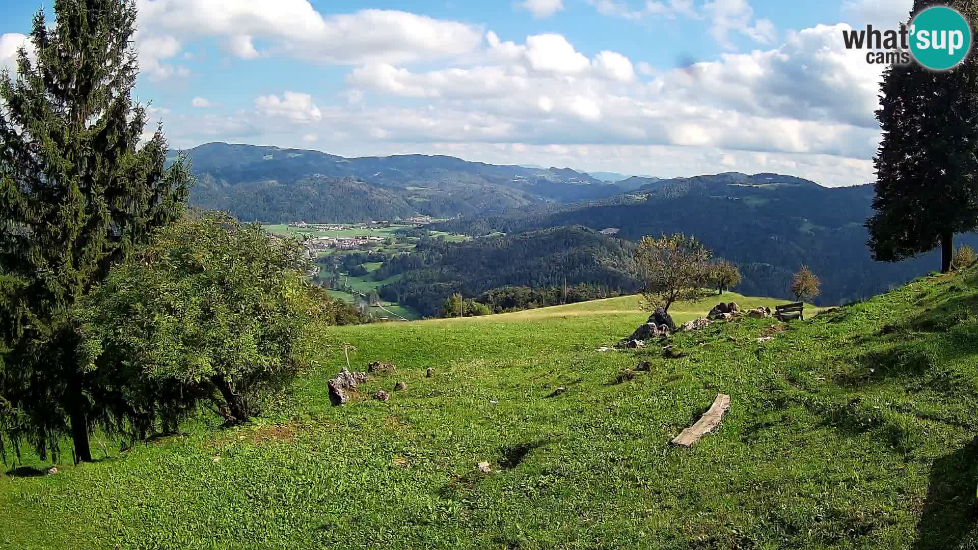 Slajka camera en vivo | Gorenja Vas | Eslovenia
