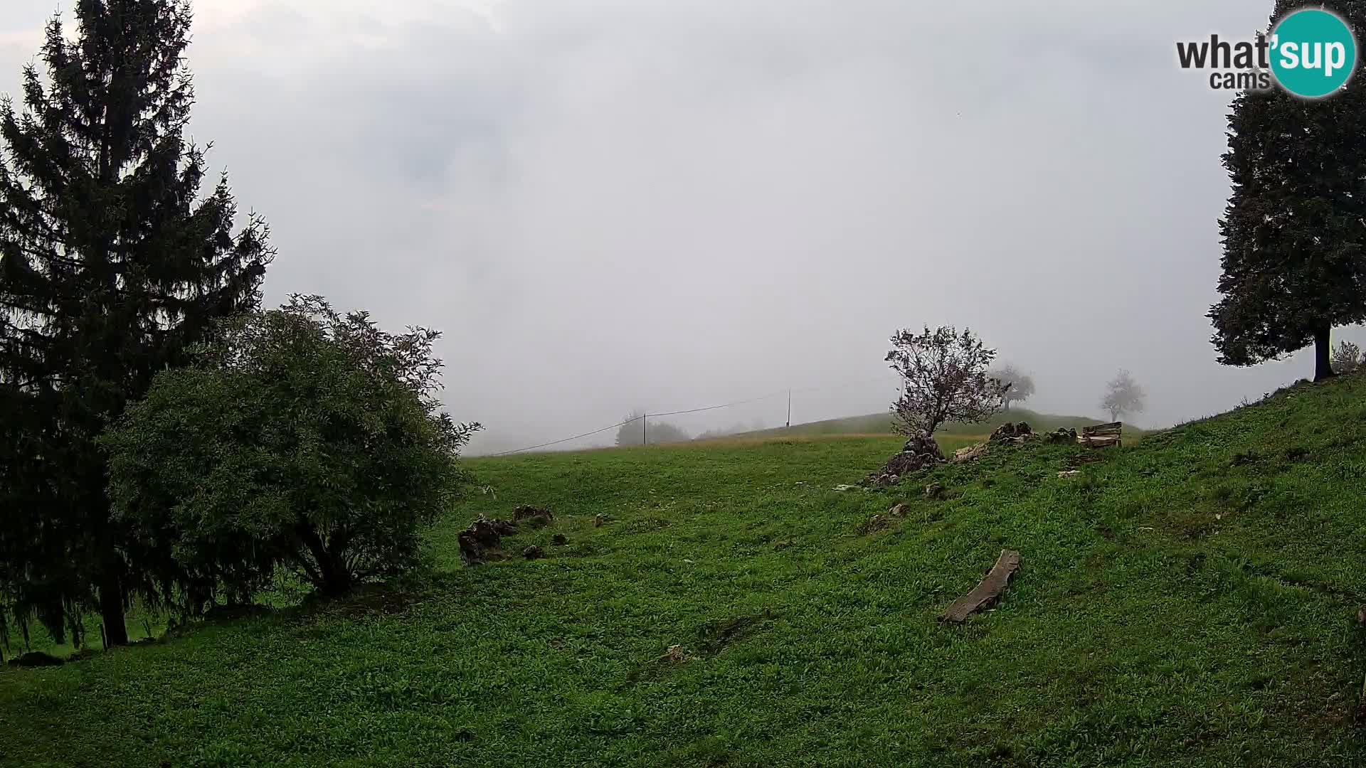 Slajka livecam | Gorenja Vas | Slovénie
