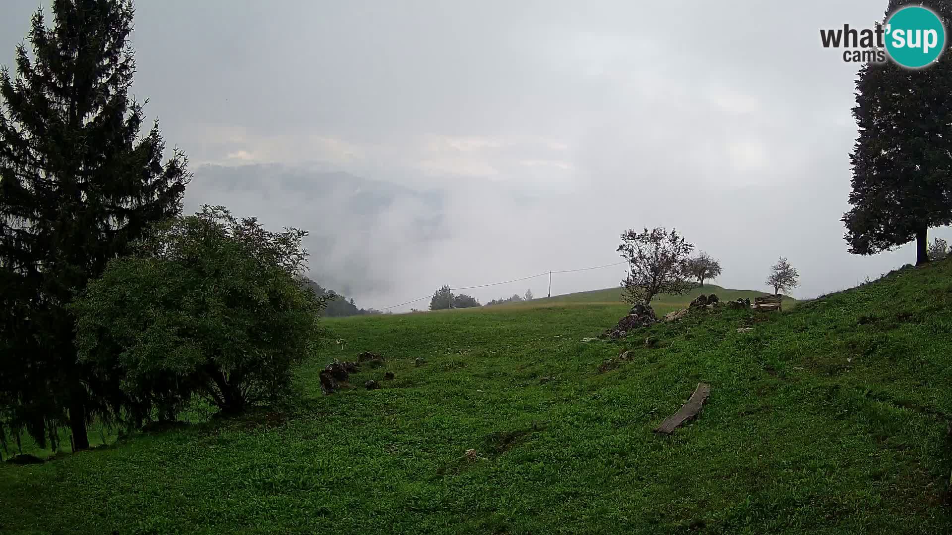 Slajka camera en vivo | Gorenja Vas | Eslovenia