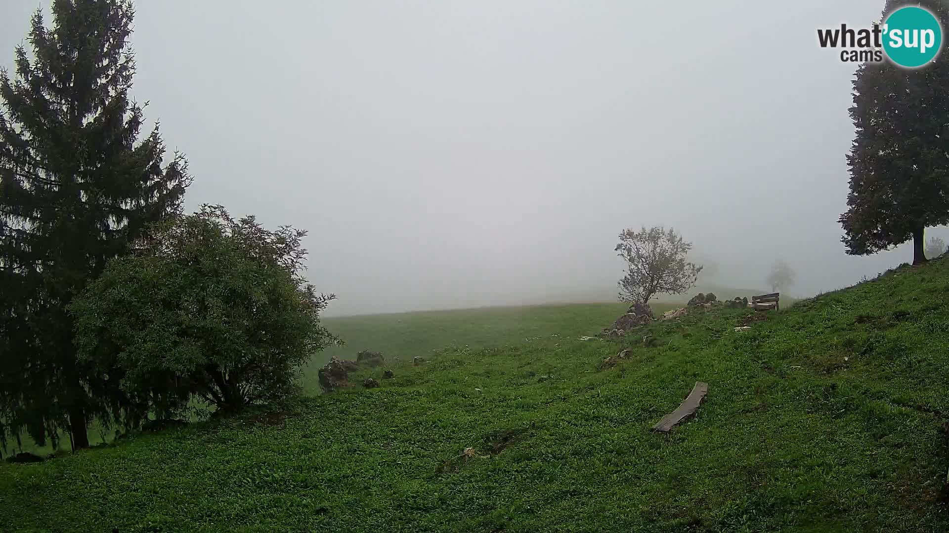Slajka web kamera | Gorenja Vas | Slovenija