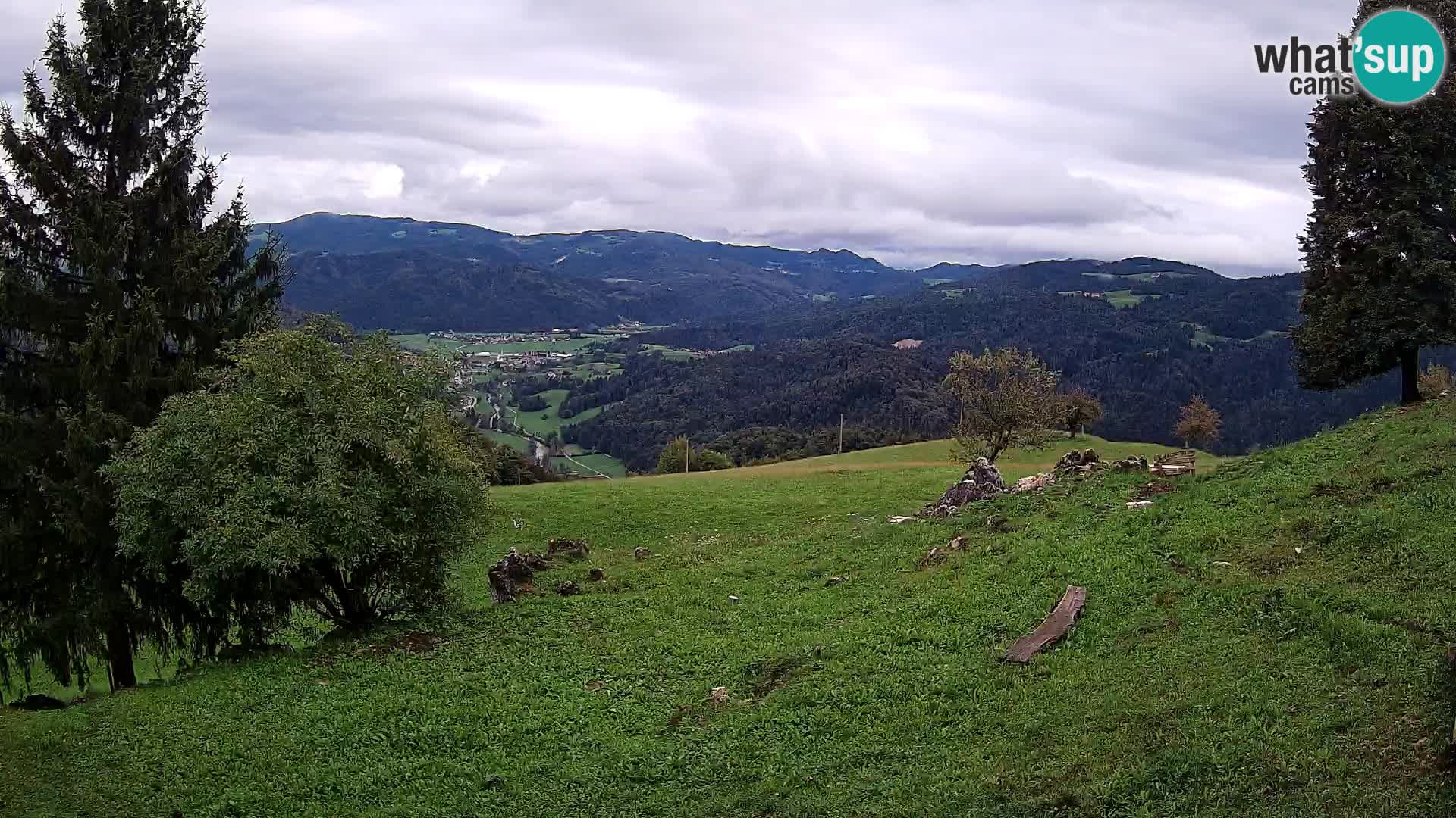 Slajka livecam | Gorenja Vas | Slovénie