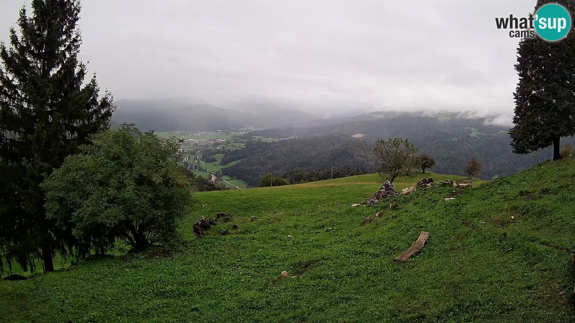 Slajka livecam | Gorenja Vas | Slovénie