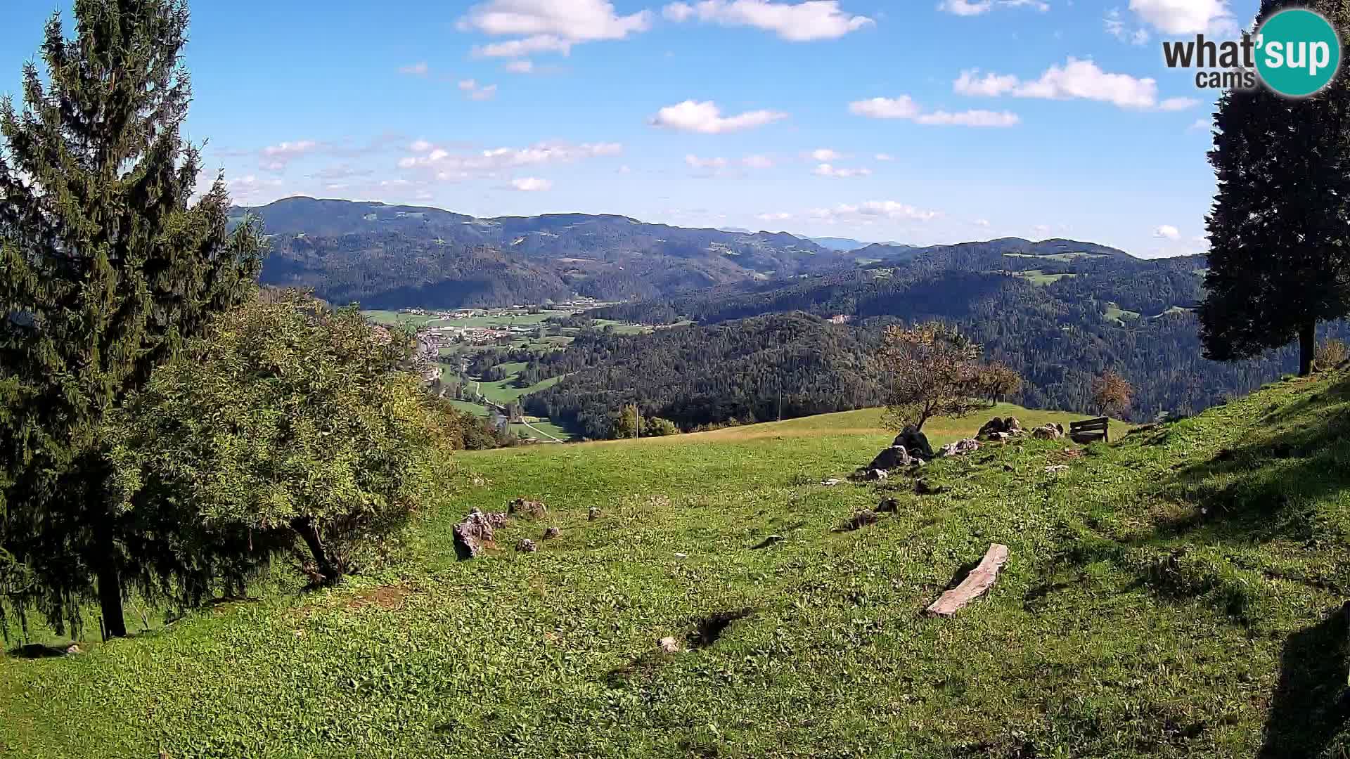Slajka camera en vivo | Gorenja Vas | Eslovenia