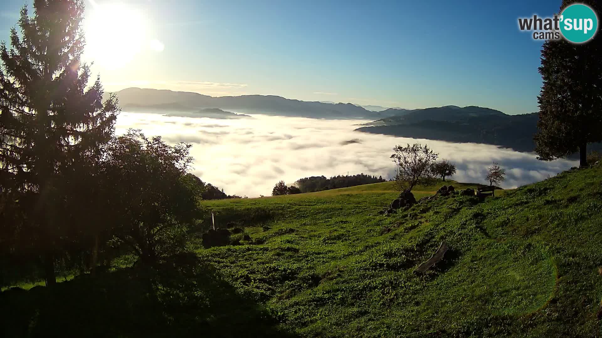 Slajka camera en vivo | Gorenja Vas | Eslovenia