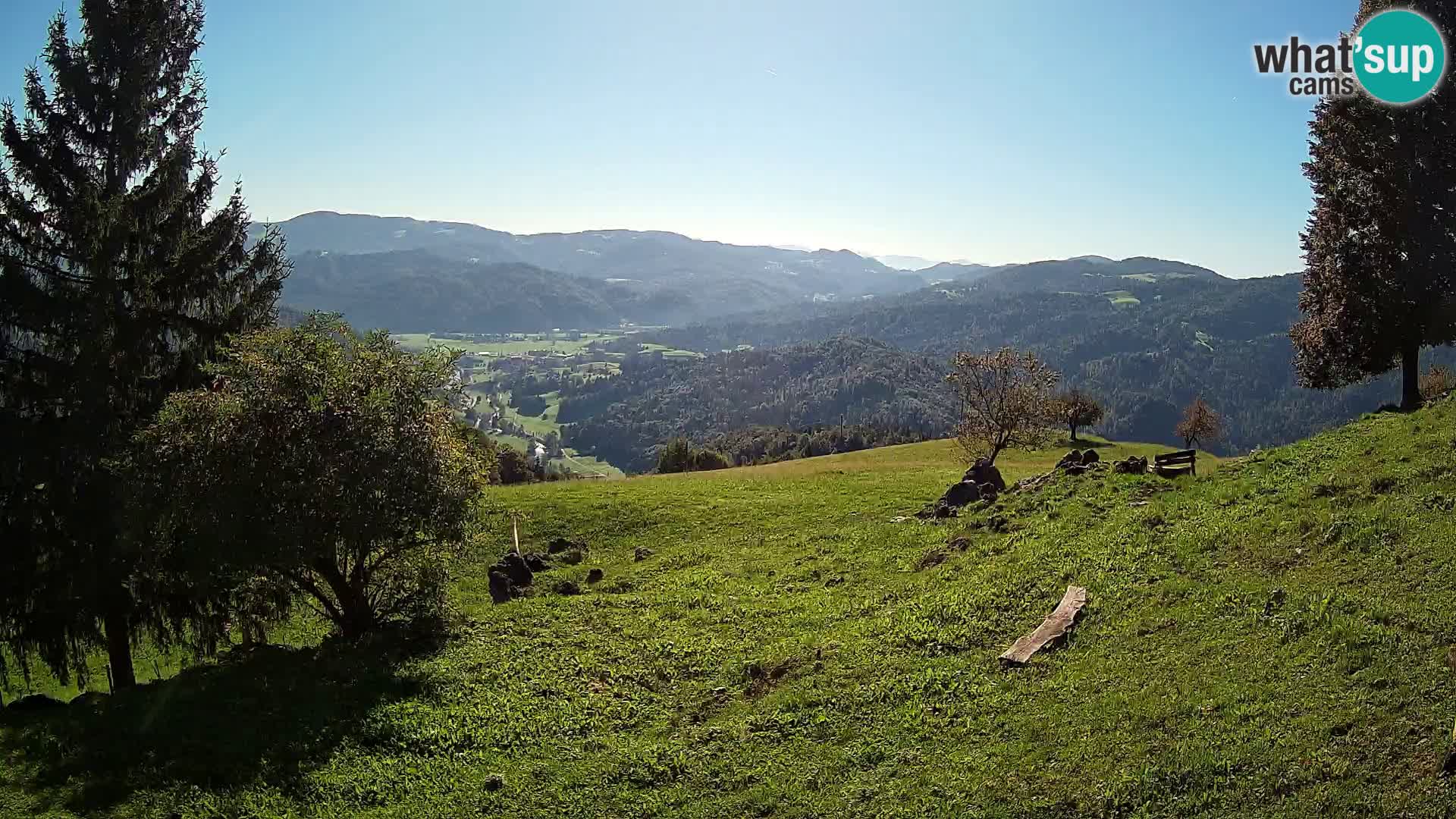 Slajka camera en vivo | Gorenja Vas | Eslovenia