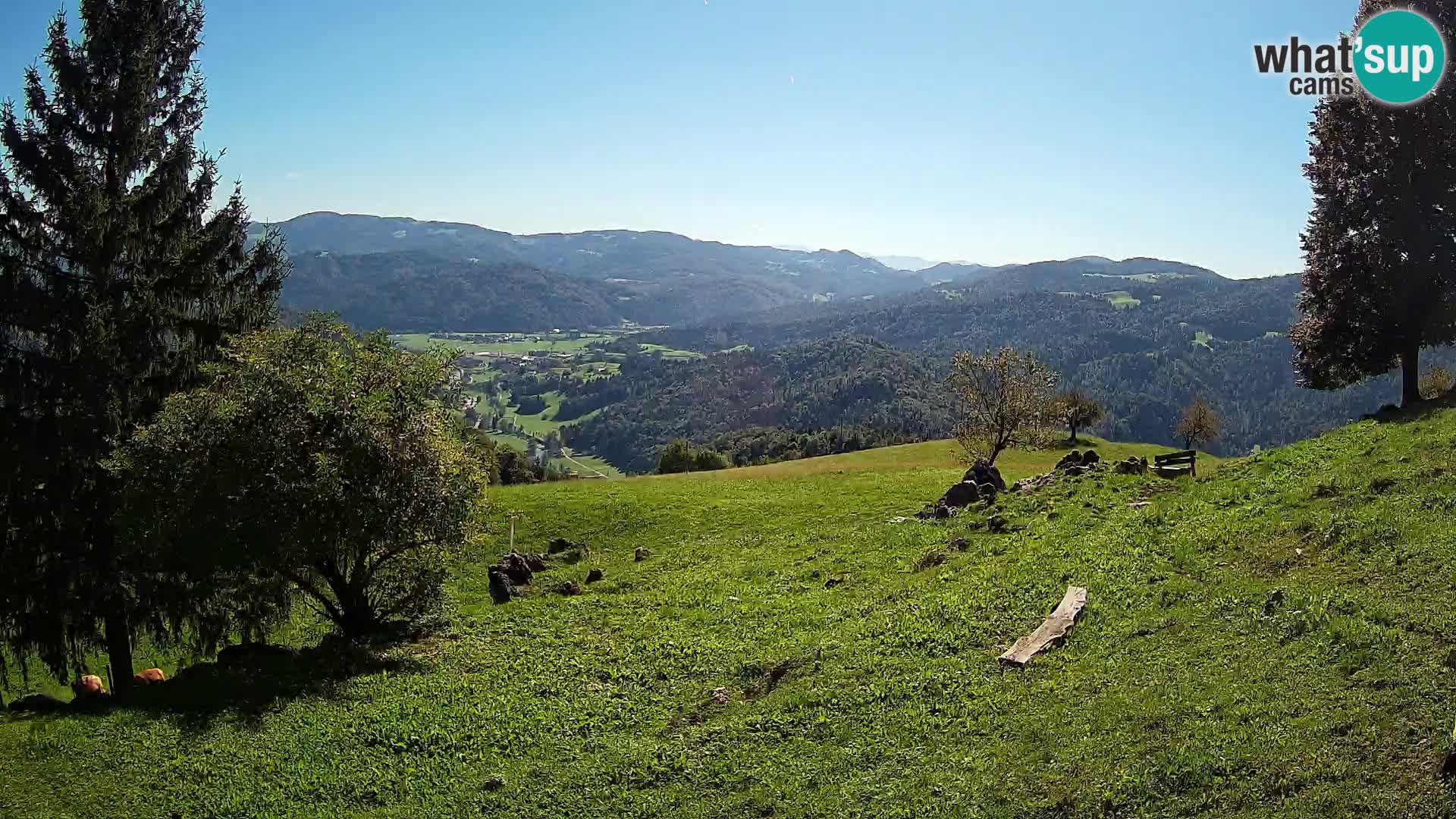 Slajka camera en vivo | Gorenja Vas | Eslovenia