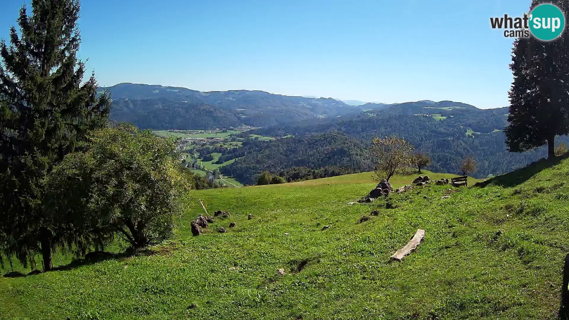 Slajka camera en vivo | Gorenja Vas | Eslovenia