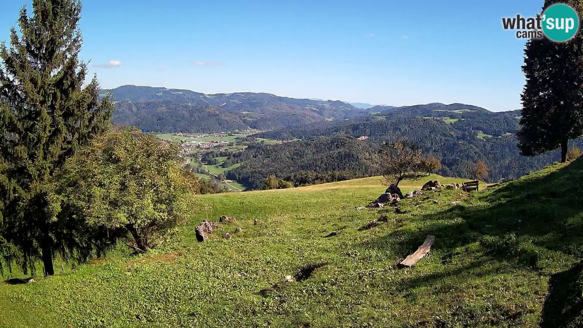 Slajka camera en vivo | Gorenja Vas | Eslovenia
