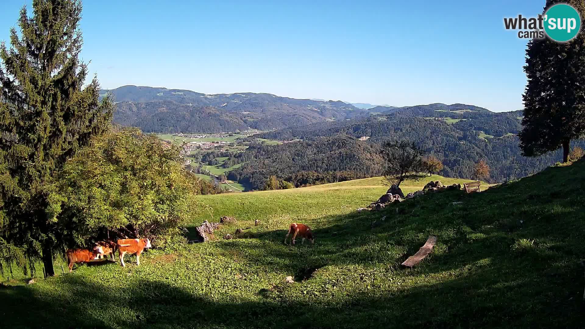 Webcam Slajka | Gorenja vas | Slovenia