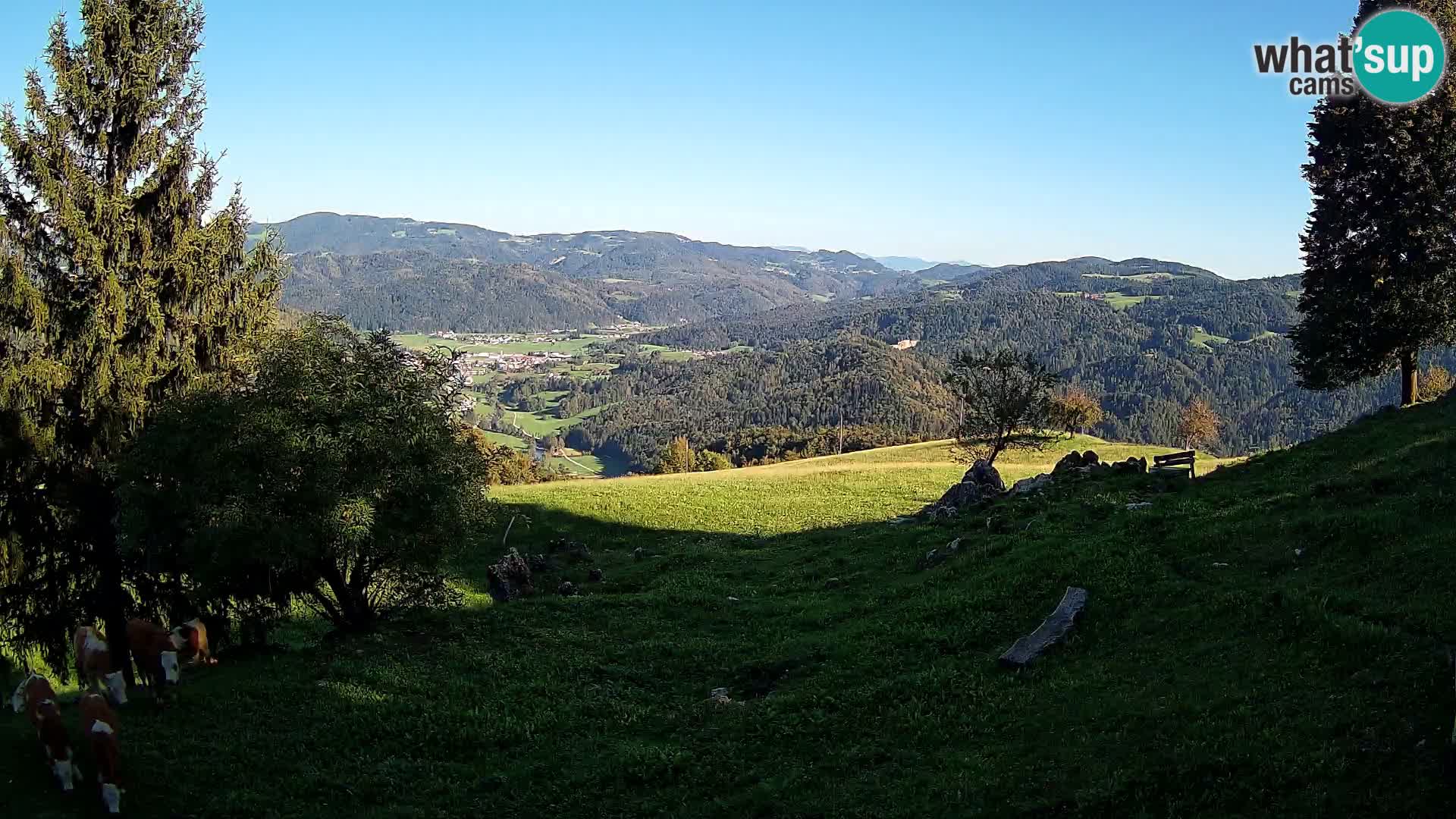 Slajka webam | Gorenja vas | Slovenia