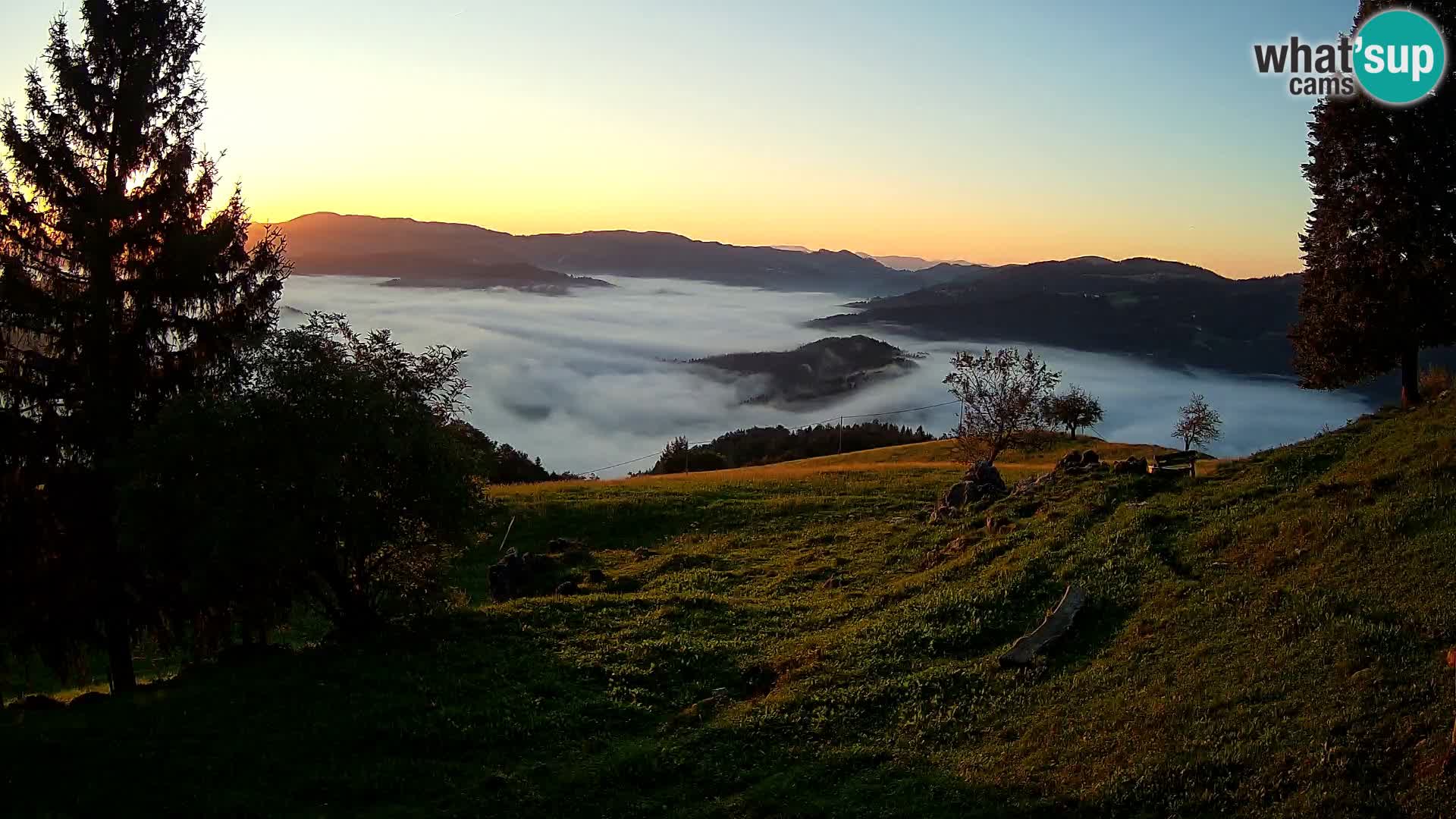 Slajka livecam | Gorenja Vas | Slovénie