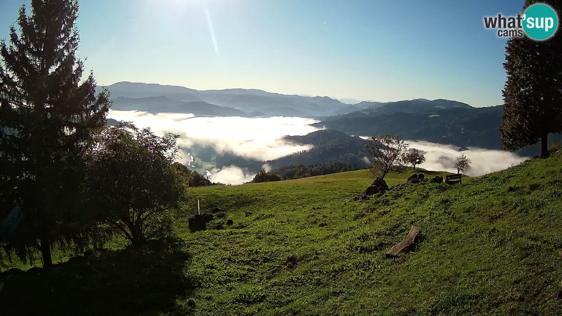 Slajka camera en vivo | Gorenja Vas | Eslovenia