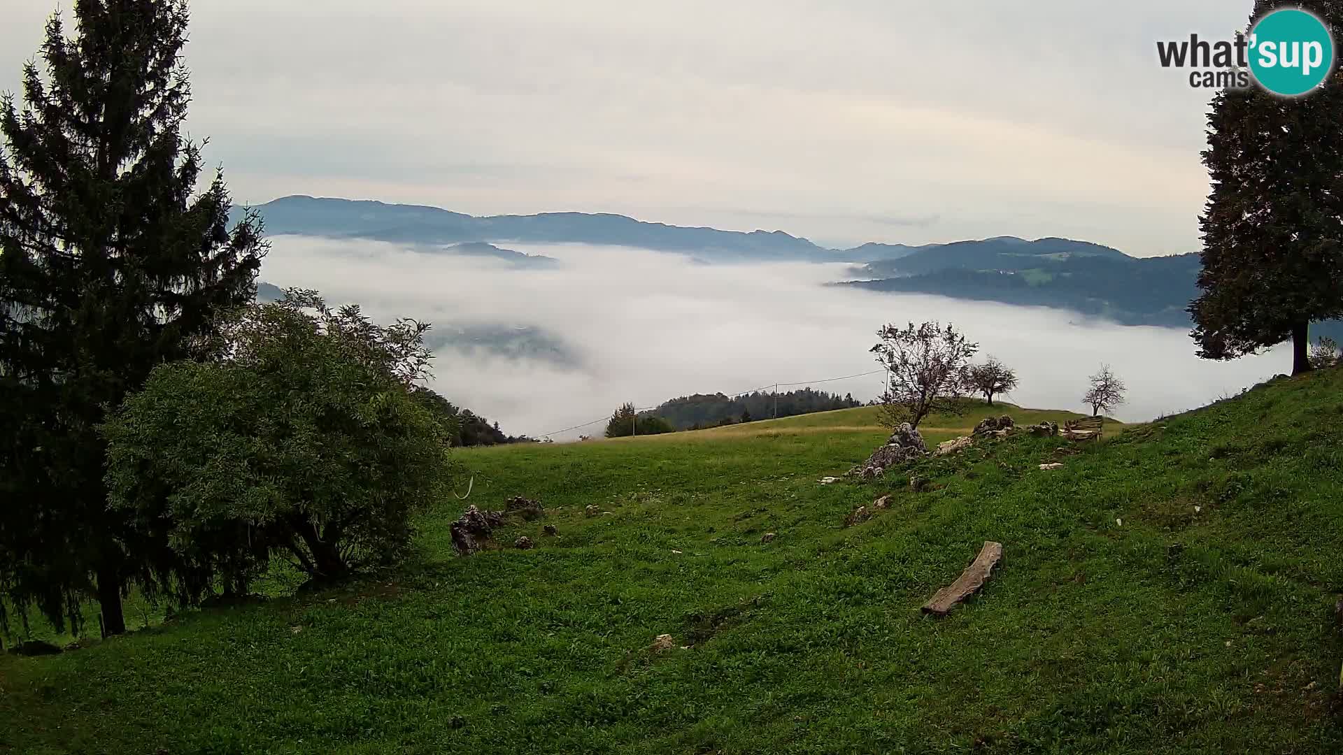 Slajka webam | Gorenja vas | Slovenia