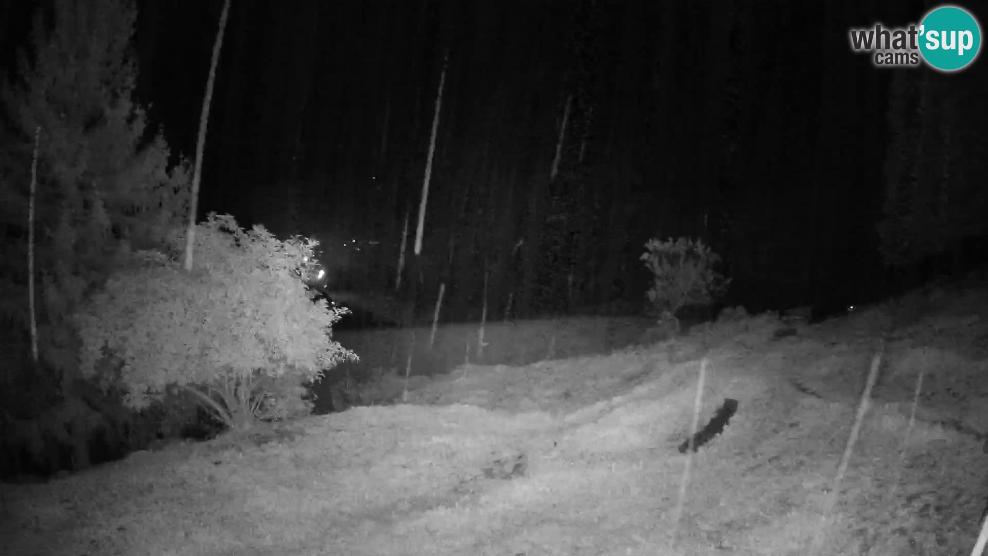 Slajka webcam | Gorenja Vas | Slowenien