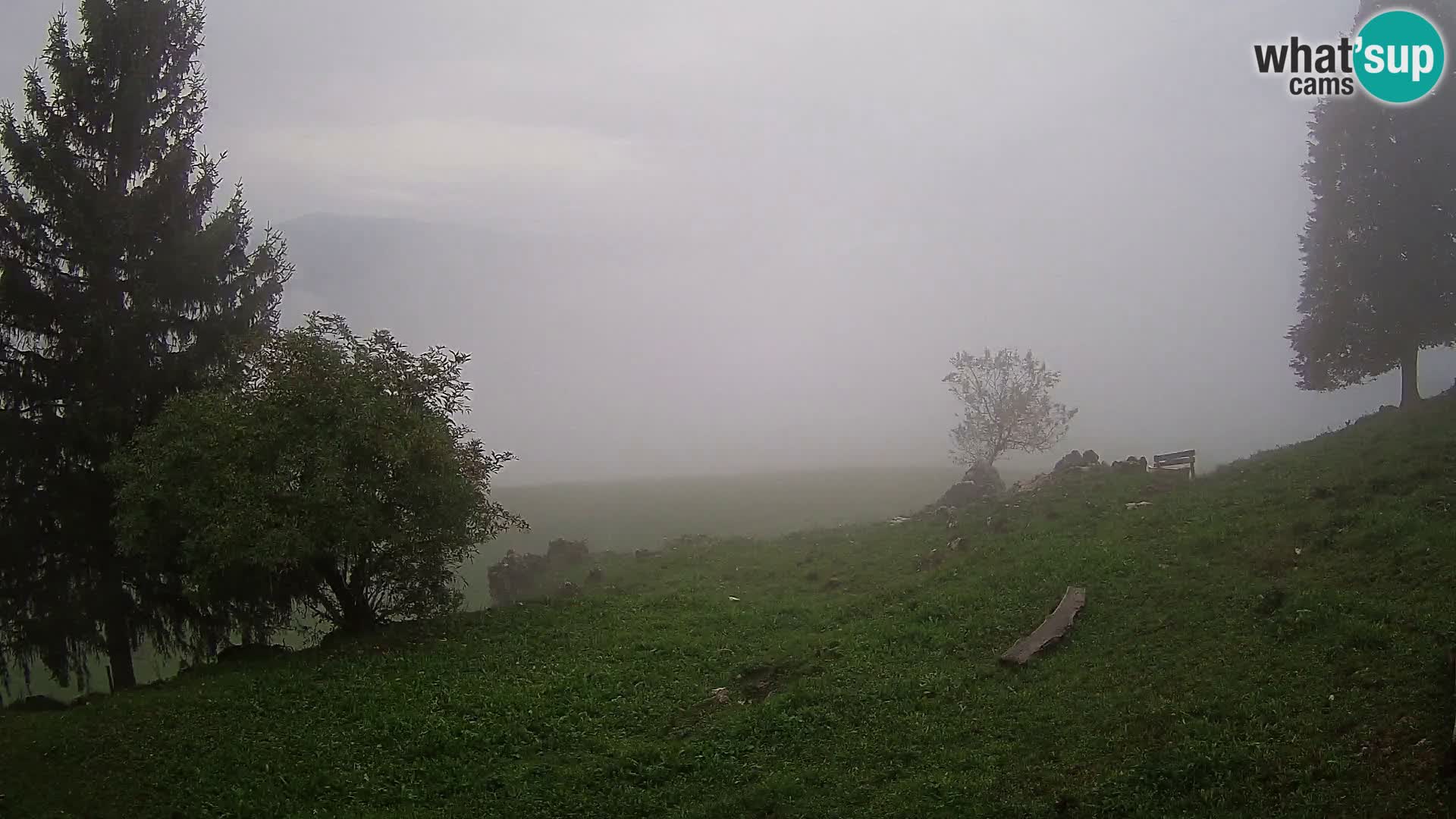 Slajka camera en vivo | Gorenja Vas | Eslovenia