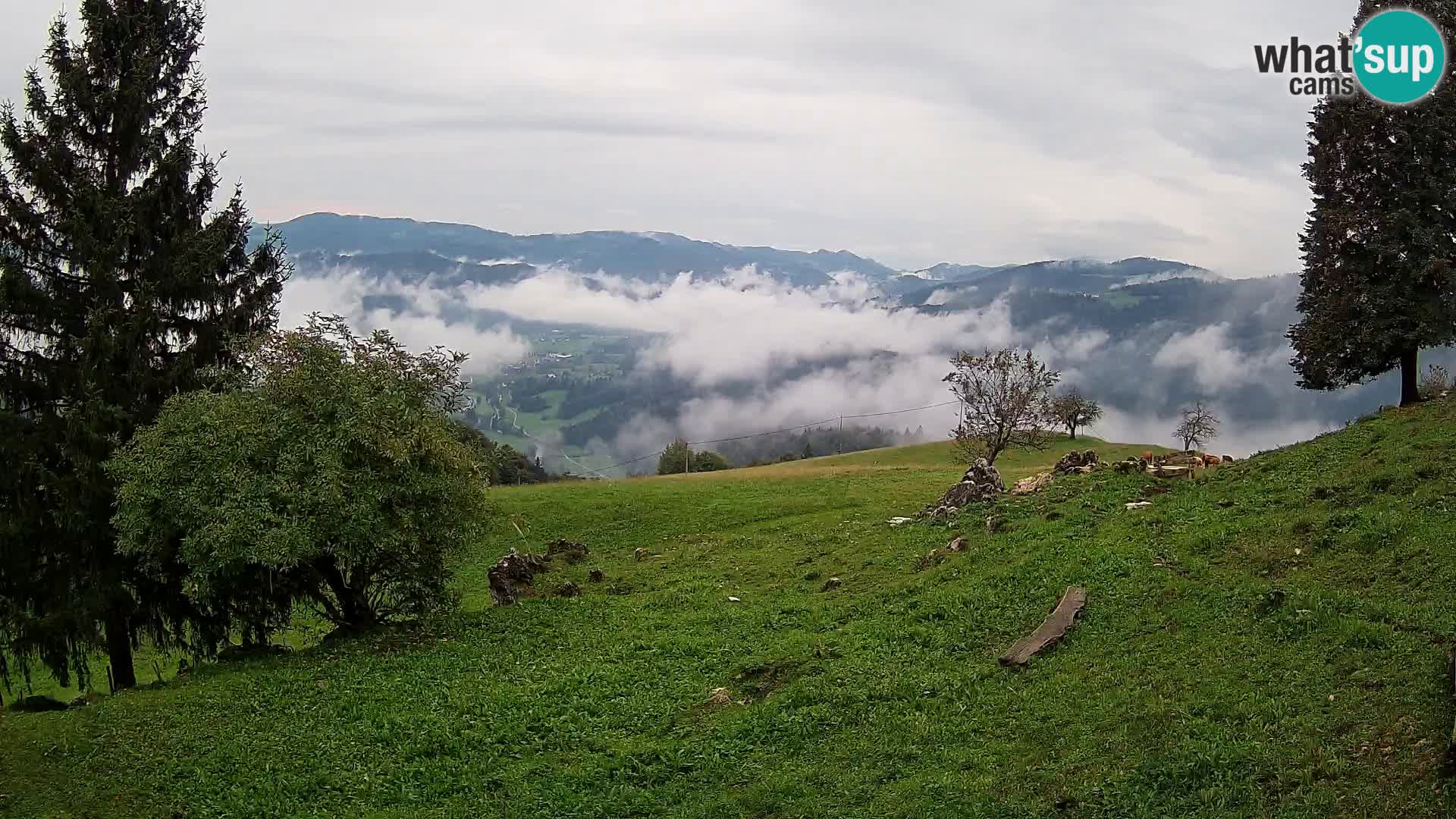 Slajka camera en vivo | Gorenja Vas | Eslovenia